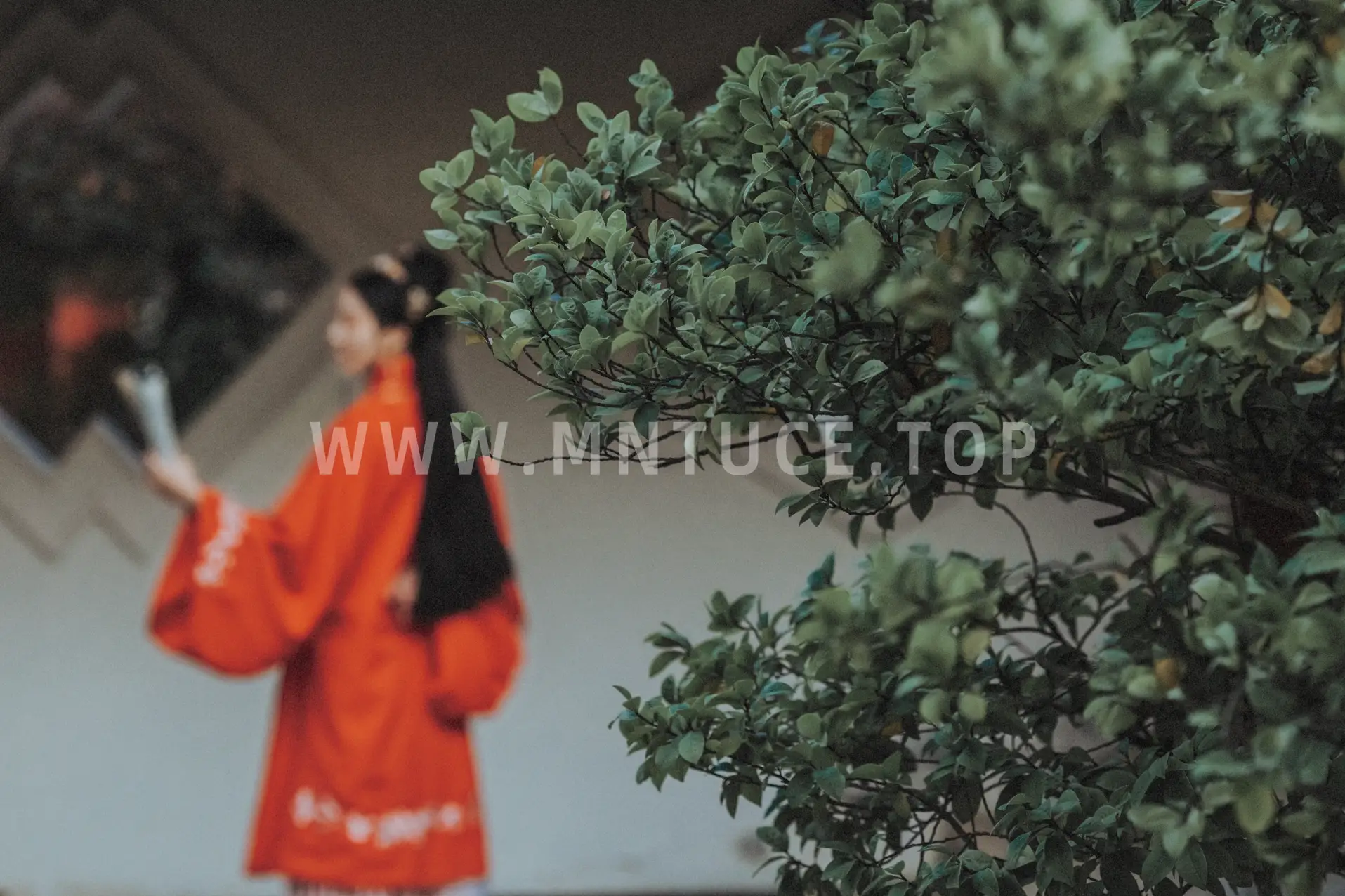 [艺图语] 2021.09.11 Vol.283 – 故园 唱小游#[26P]-8