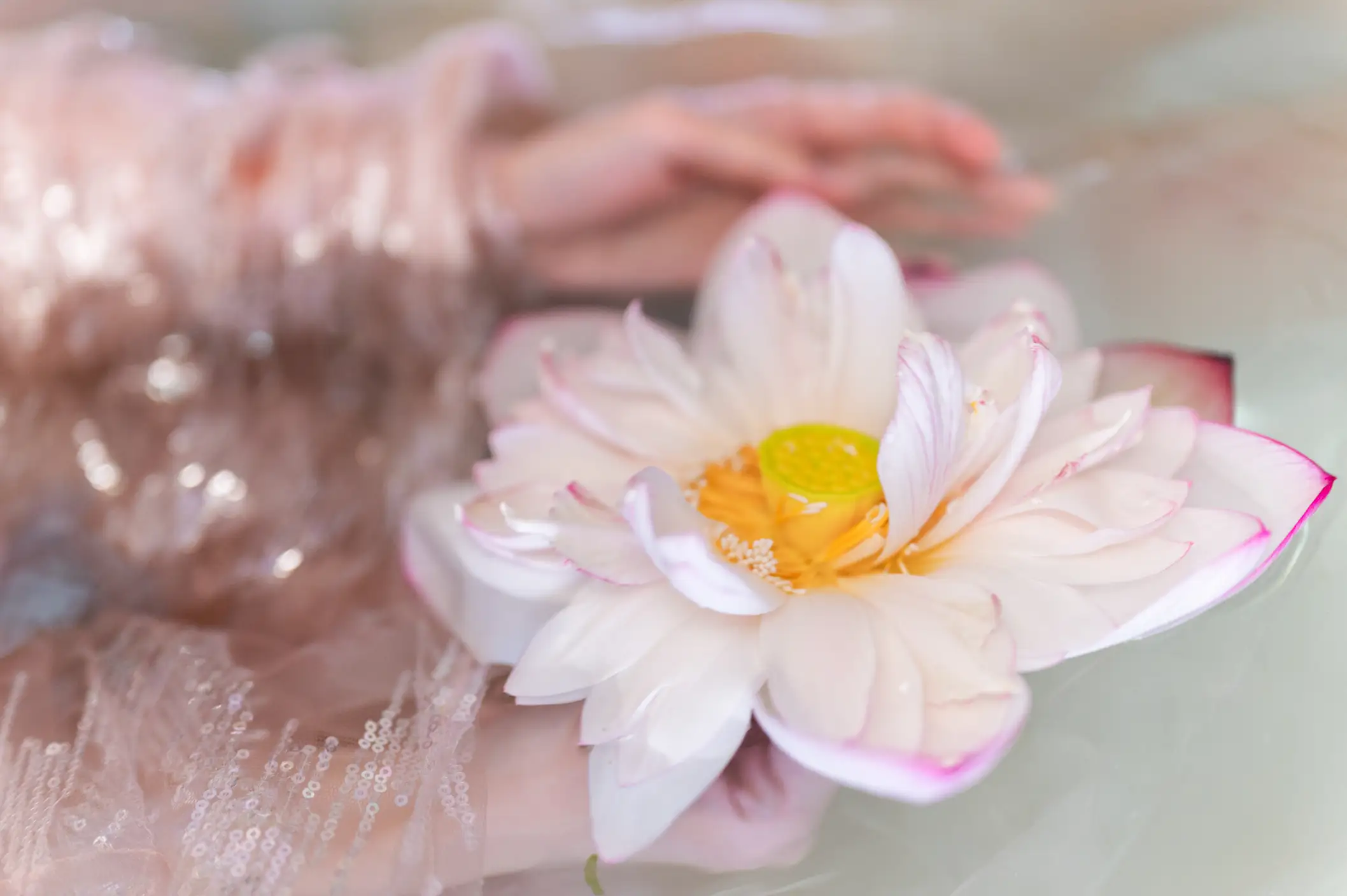 [艺图语] 2022.06.11 Vol.1152 – 真金鱼姬 贰加六#[28P]-5