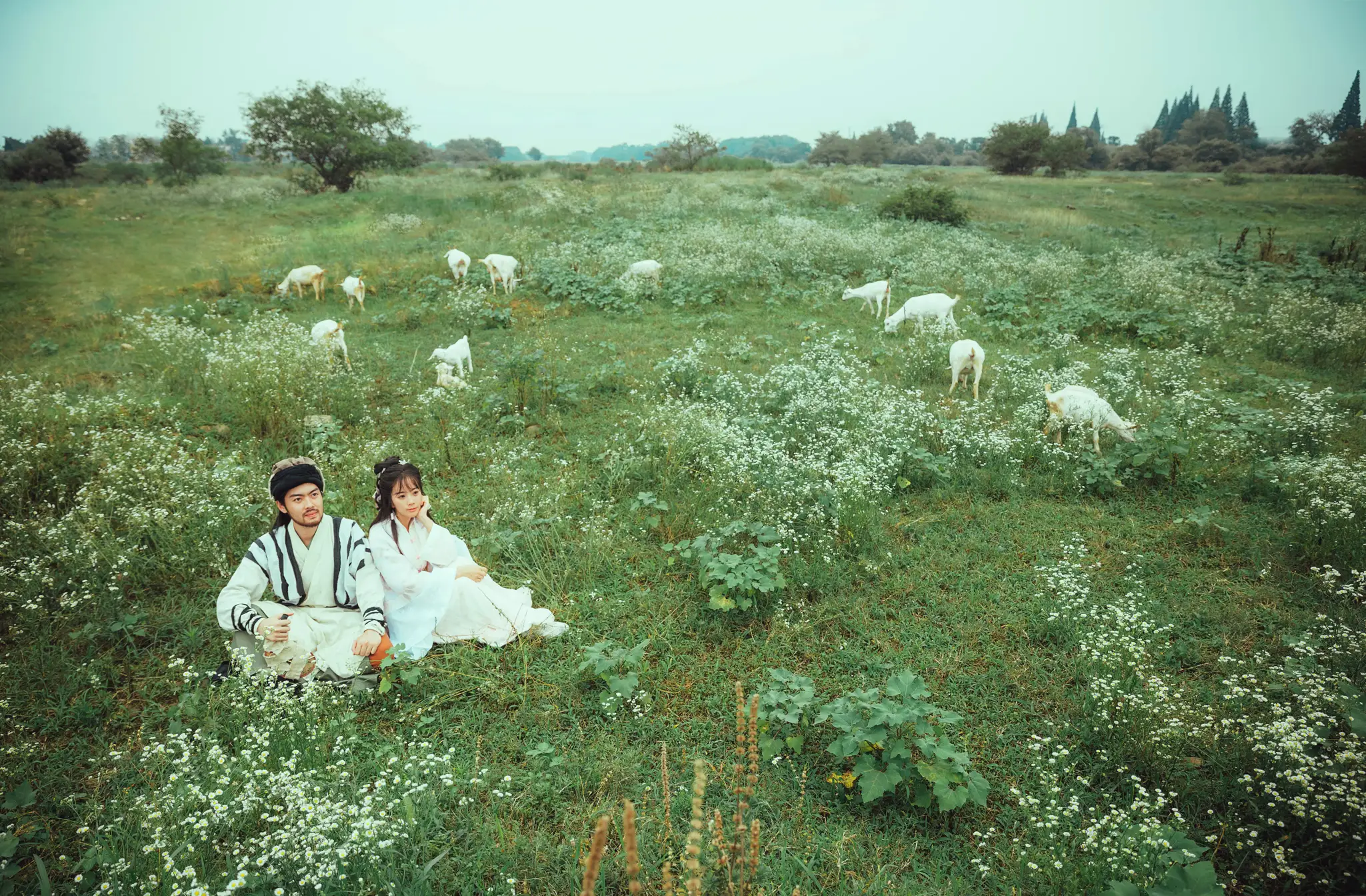 [艺图语] 2021.10.07 Vol.337 – 塞上牛羊空许约 芳芳#[23P]-3