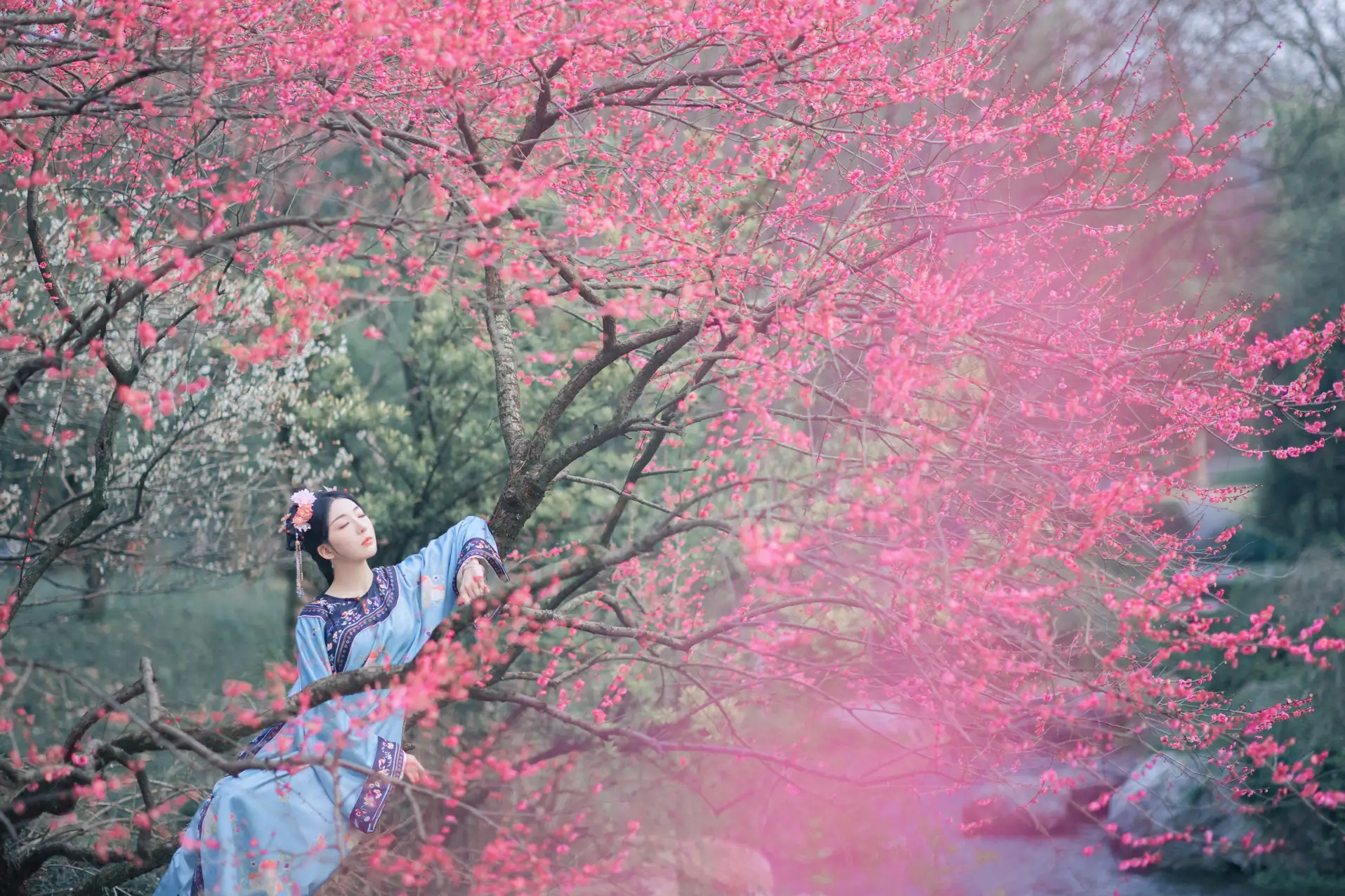 [艺图语] 2022.06.06 Vol.1101 – 探梅 是真的南渊#[43P]-2