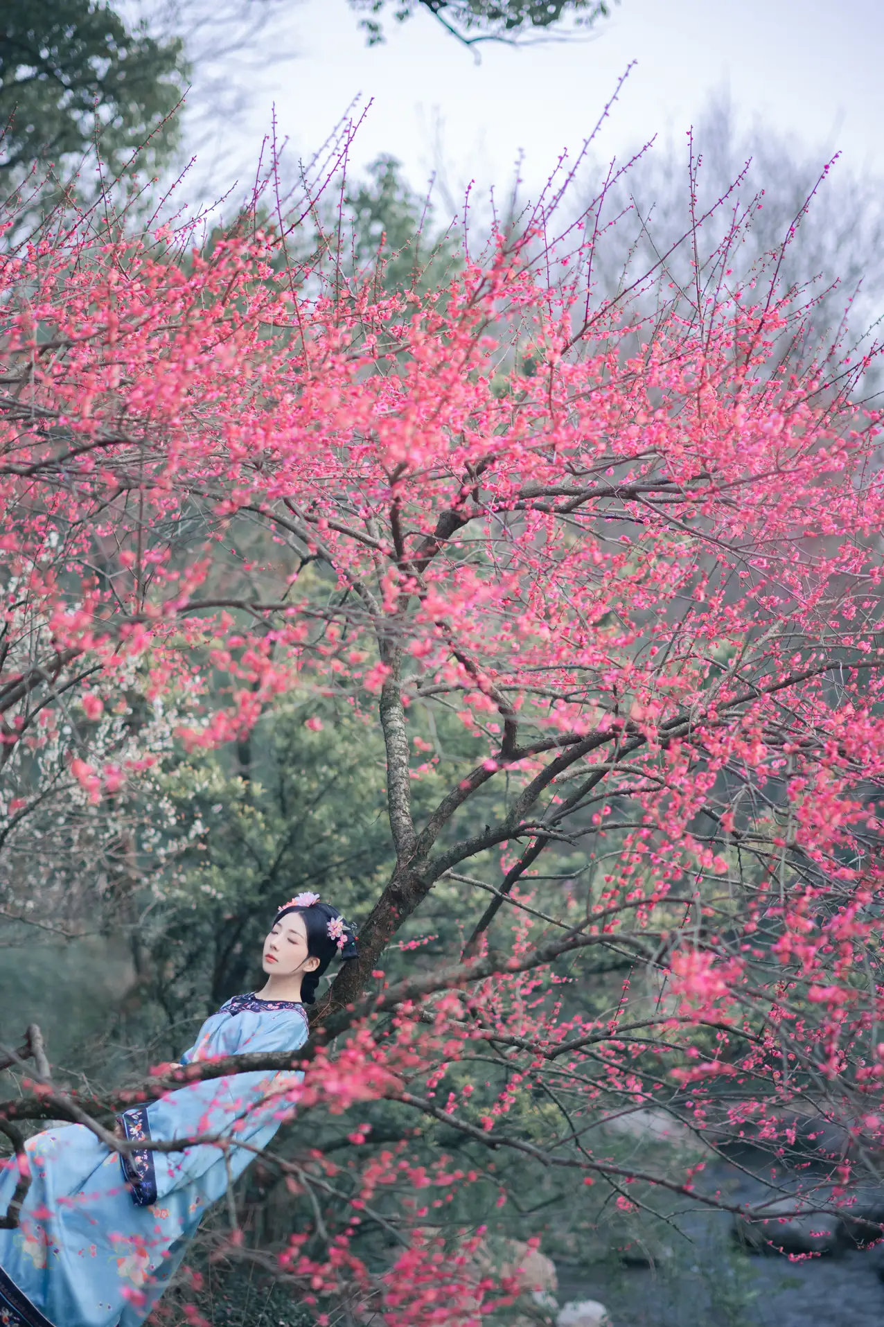 [艺图语] 2022.06.06 Vol.1101 – 探梅 是真的南渊#[43P]-3