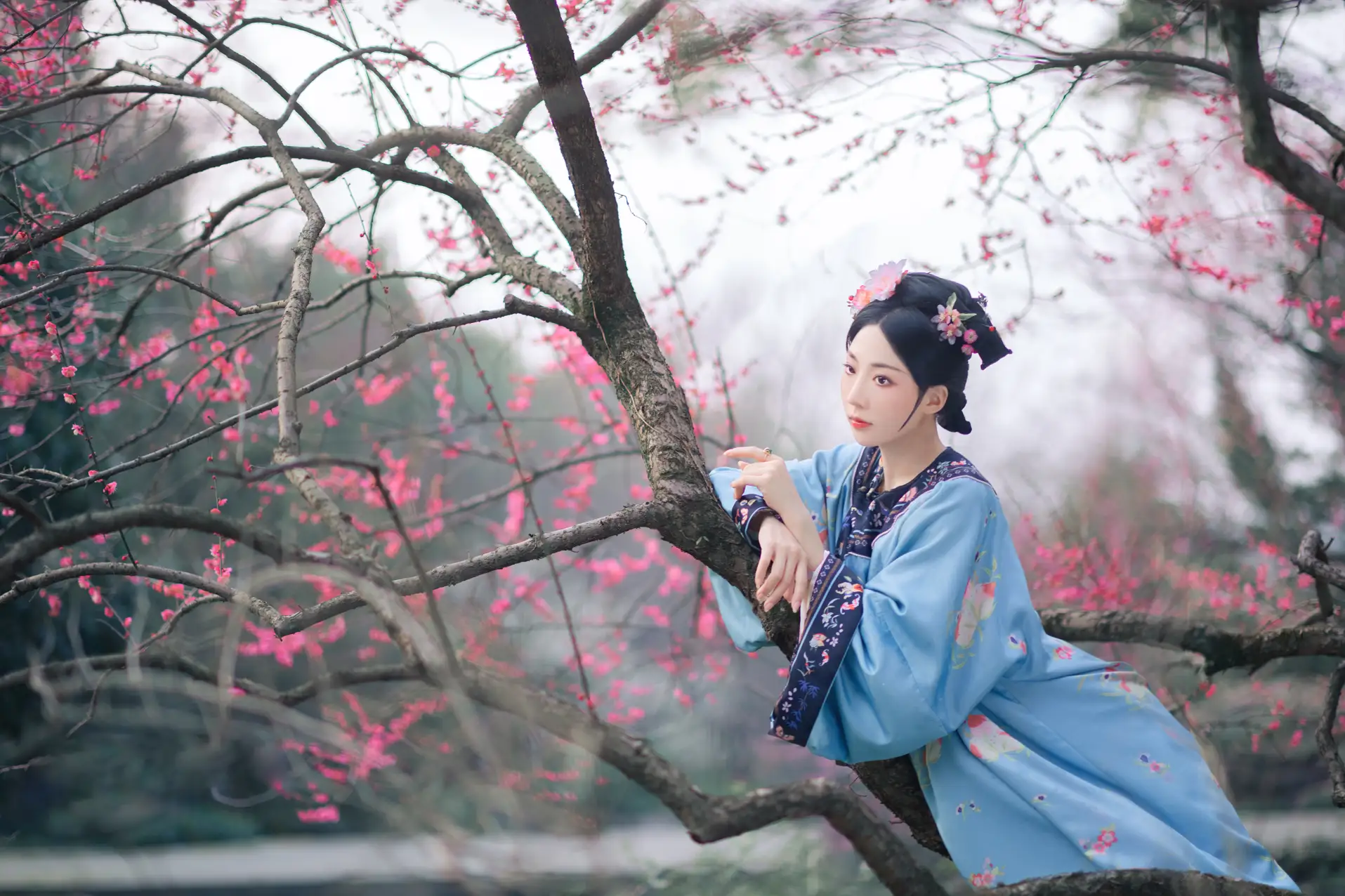 [艺图语] 2022.06.06 Vol.1101 – 探梅 是真的南渊#[43P]-6