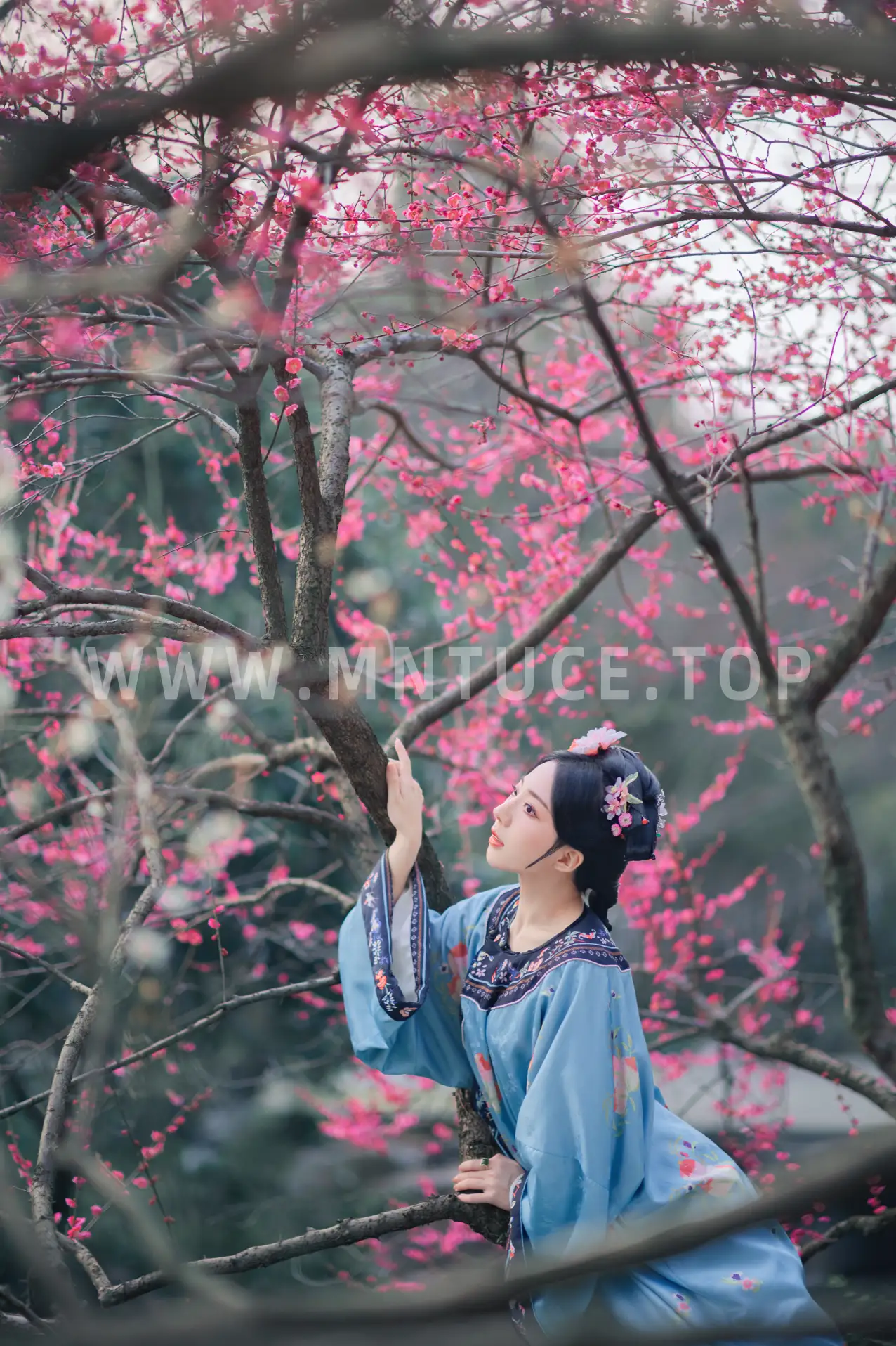 [艺图语] 2022.06.06 Vol.1101 – 探梅 是真的南渊#[43P]-8