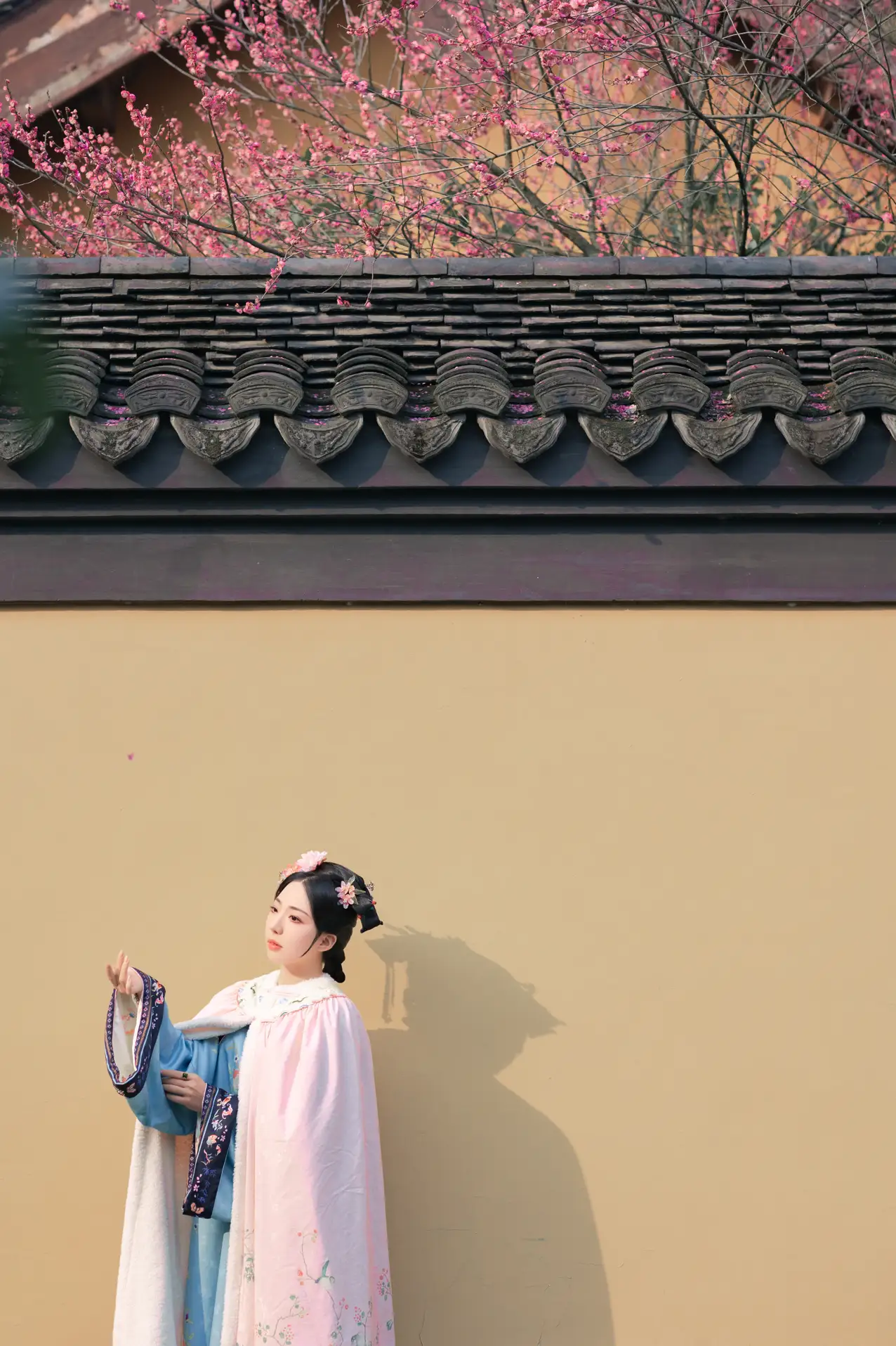 [艺图语] 2022.06.06 Vol.1101 – 探梅 是真的南渊#[43P]-3