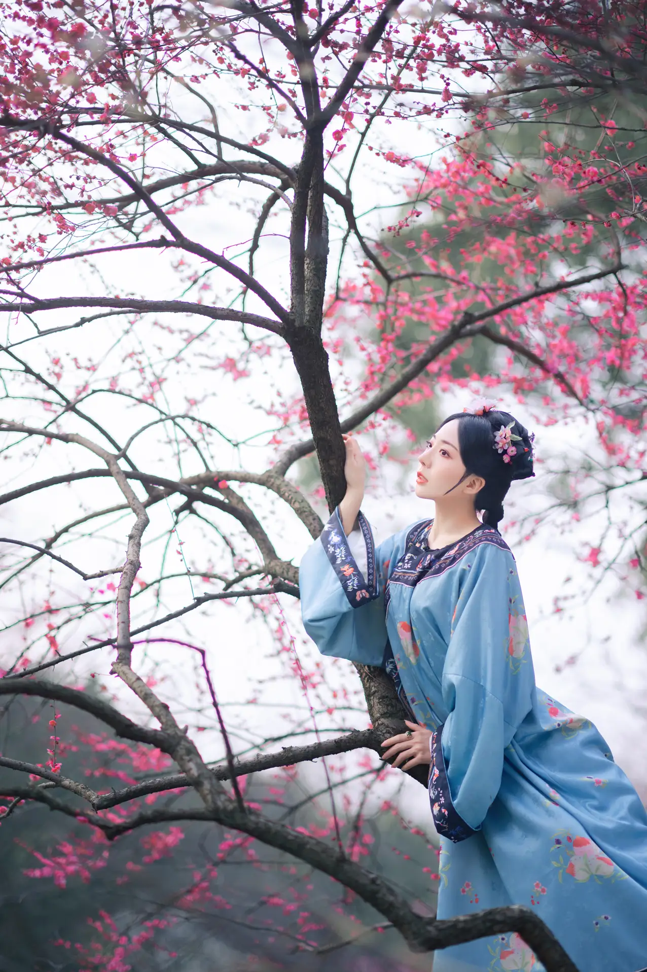 [艺图语] 2022.06.06 Vol.1101 – 探梅 是真的南渊#[43P]-1