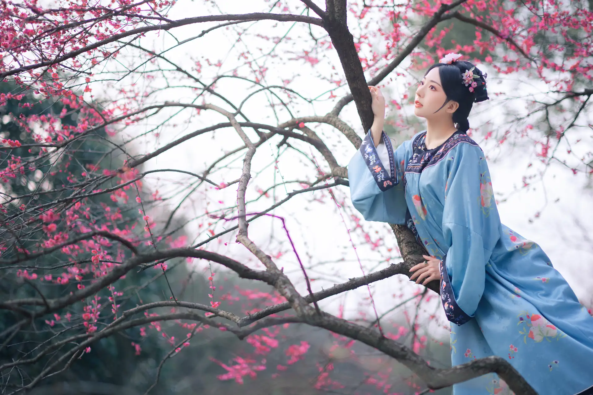 [艺图语] 2022.06.06 Vol.1101 – 探梅 是真的南渊#[43P]-2