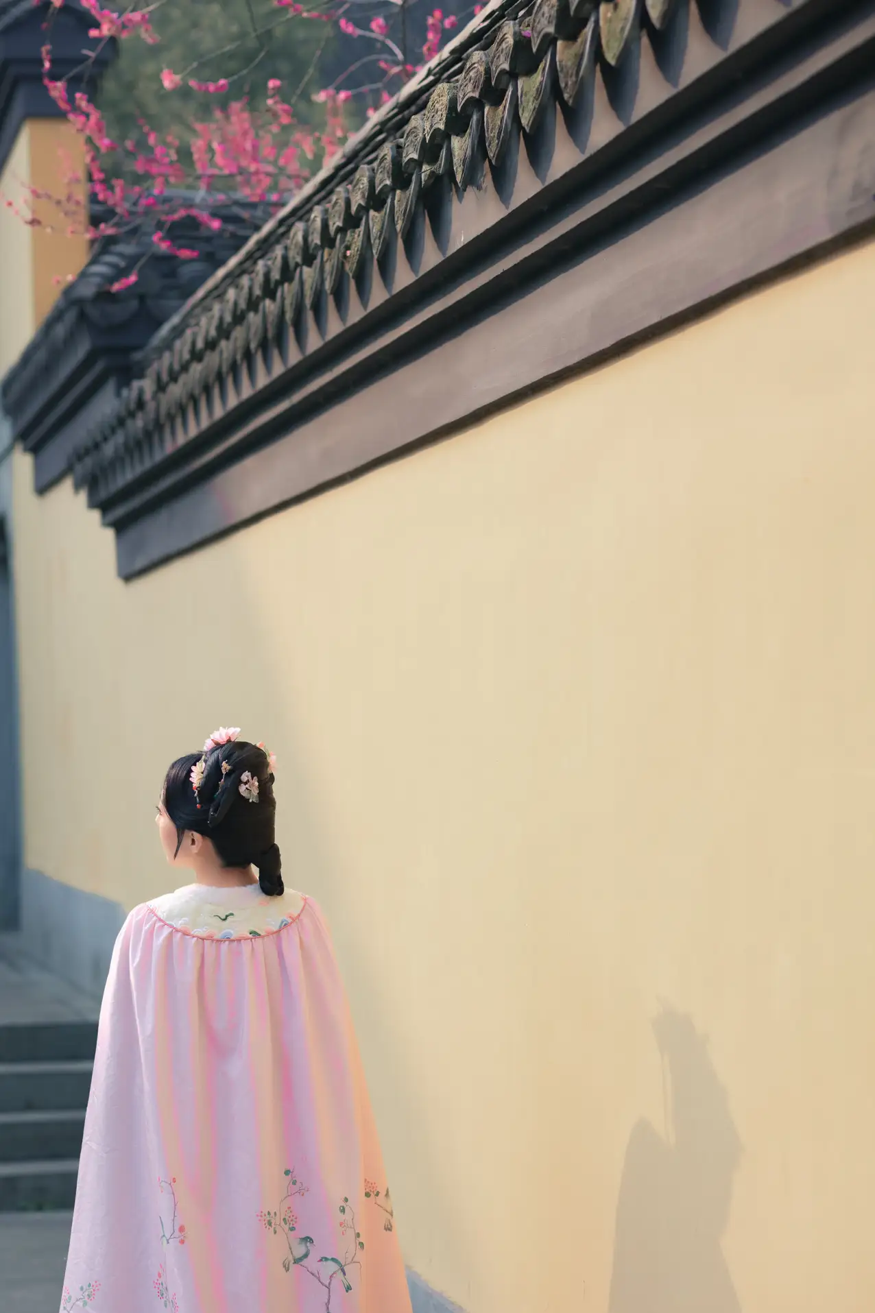 [艺图语] 2022.06.06 Vol.1101 – 探梅 是真的南渊#[43P]-9