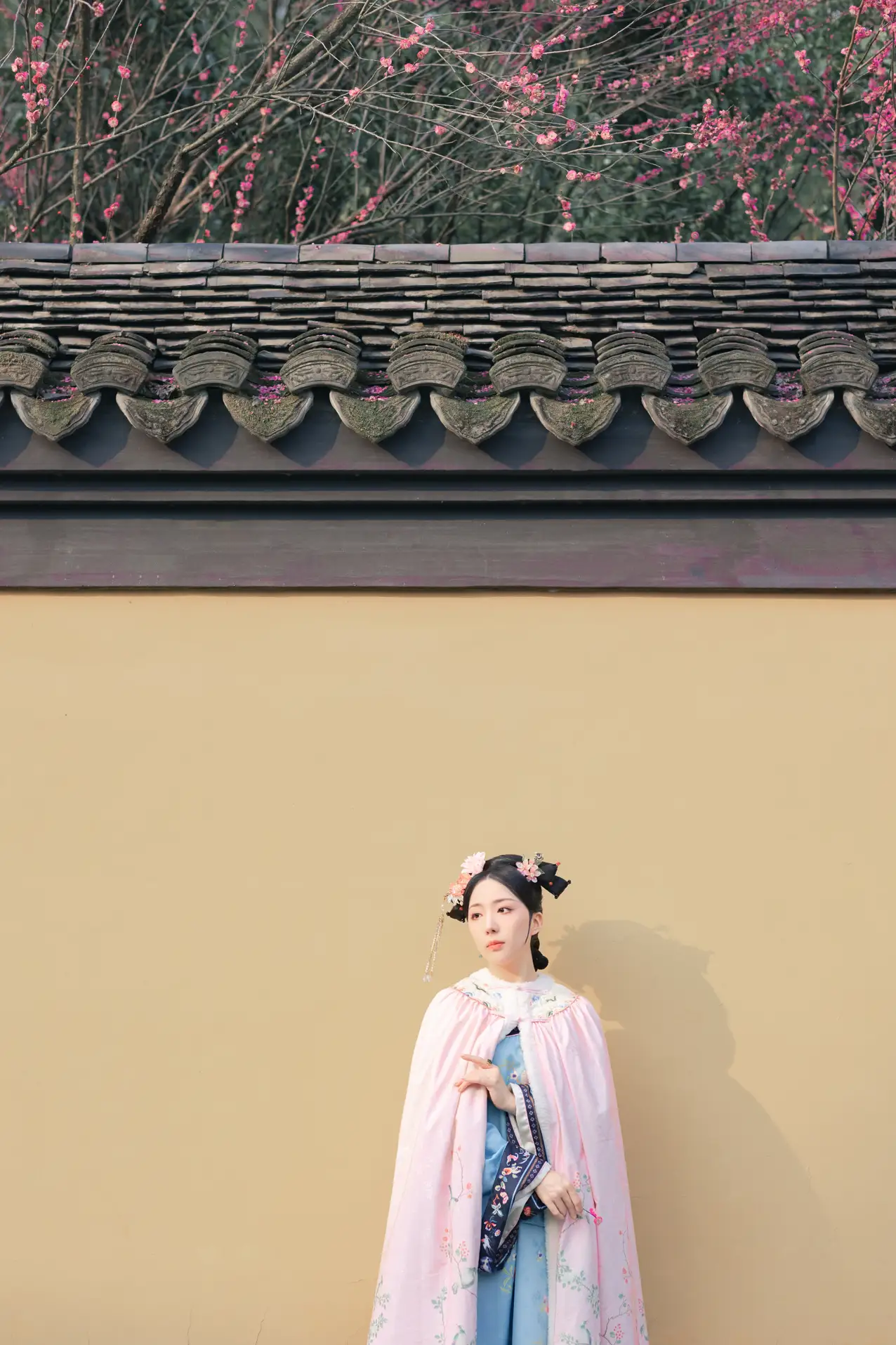 [艺图语] 2022.06.06 Vol.1101 – 探梅 是真的南渊#[43P]-10