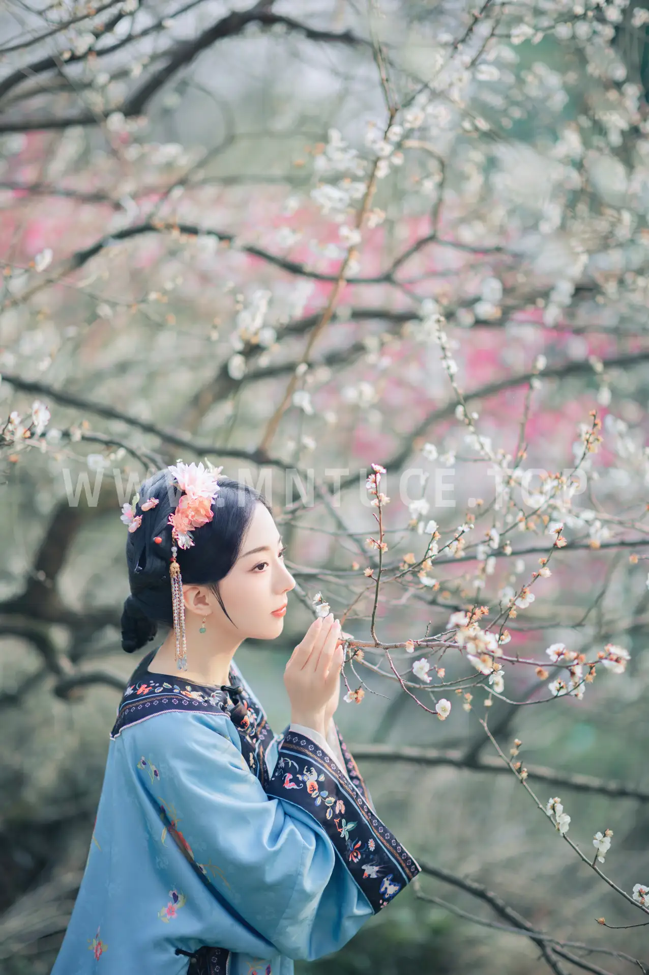 [艺图语] 2022.06.06 Vol.1101 – 探梅 是真的南渊#[43P]-2