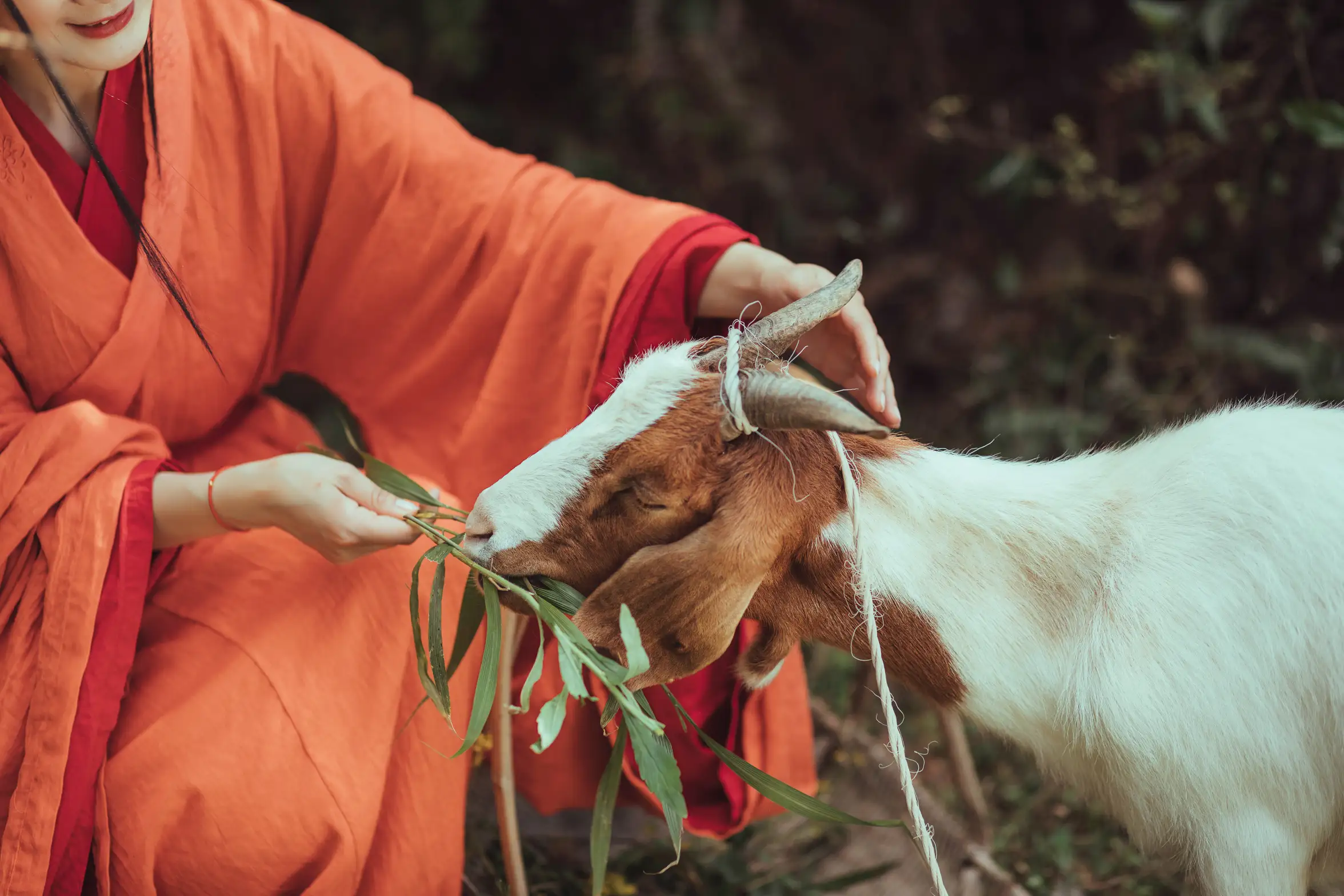 [艺图语] 2022.01.15 Vol.659 – 四月山居 含真#[22P]-4