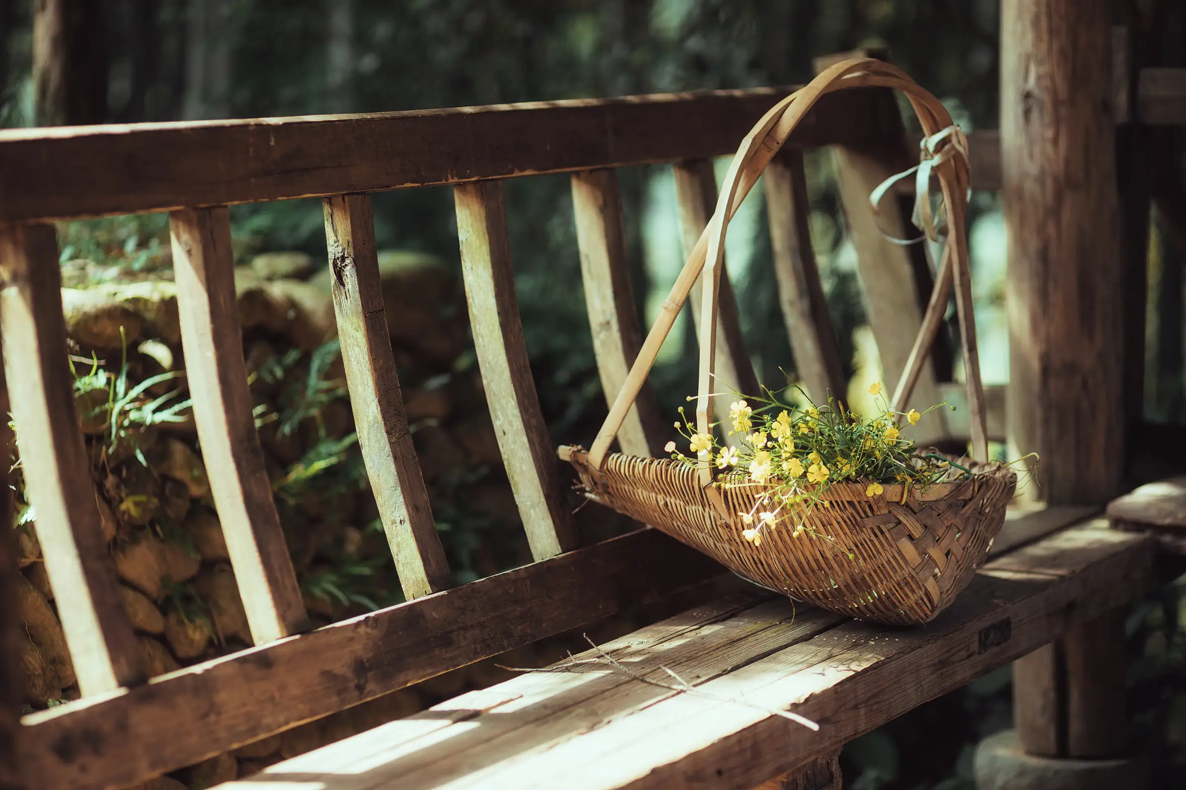 [艺图语] 2022.01.15 Vol.659 – 四月山居 含真#[22P]-7