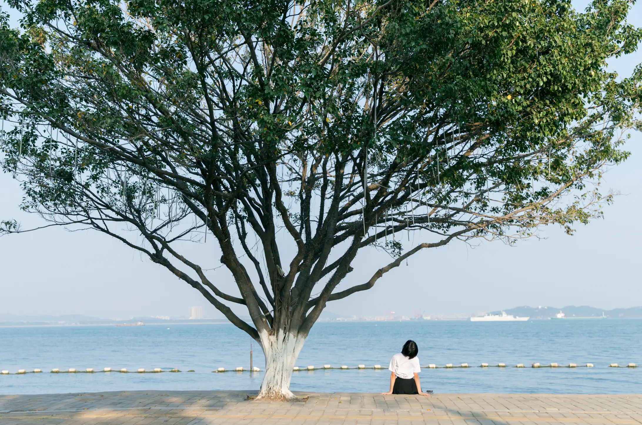 [艺图语] 2021.08.17 Vol.141 – 海街日记 yeye#[31P]-6