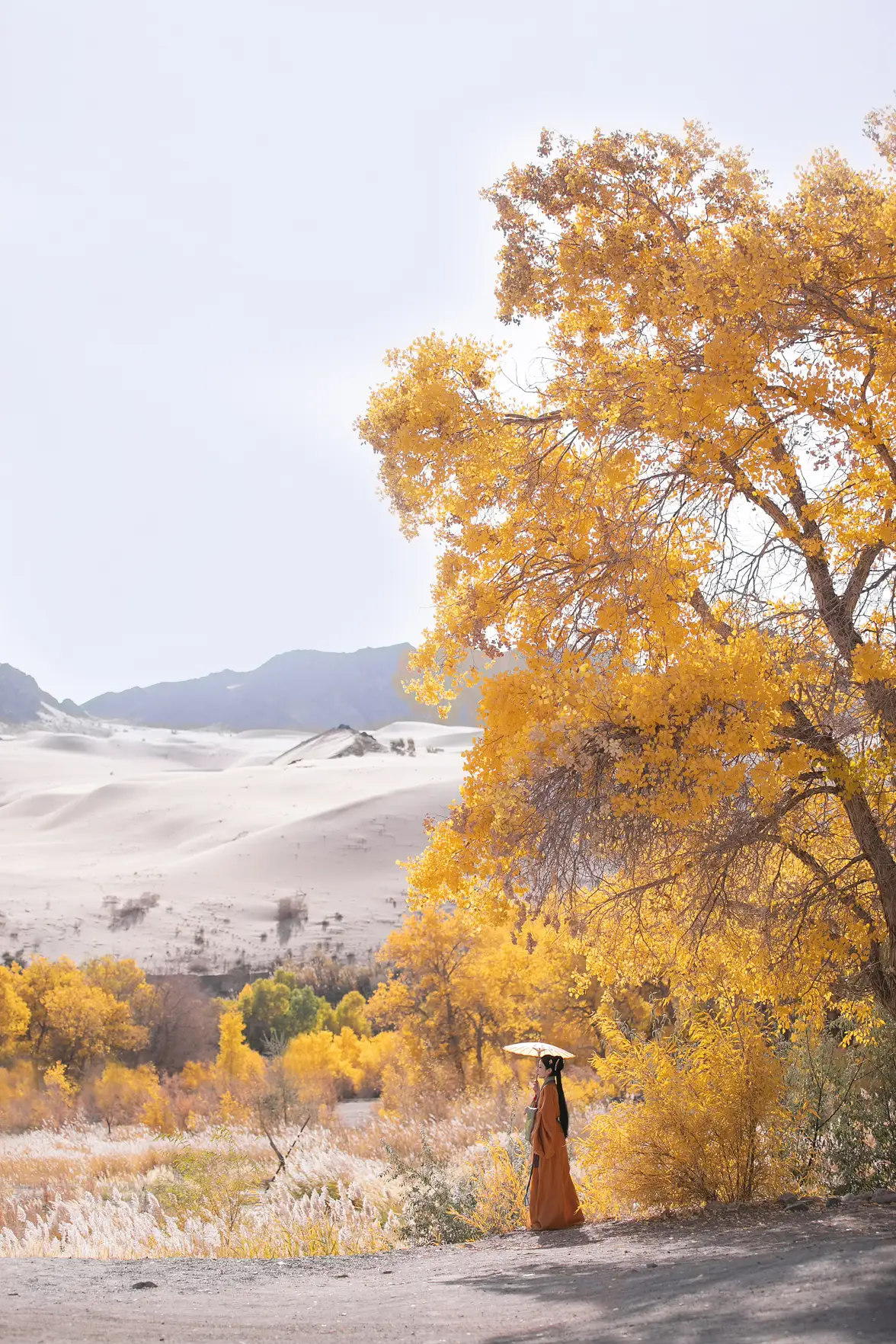 [艺图语] 2022.08.16 Vol.1719 – 我与远方只隔山几重 小猫里奈#[25P]-1