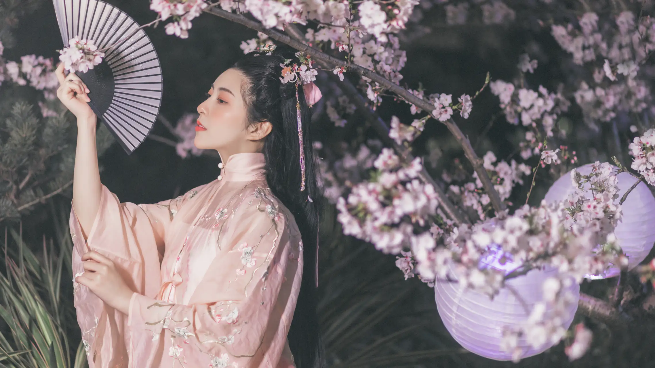 [艺图语] 2022.08.02 Vol.1607 – 夜樱 秘制大何酱#[25P]-5