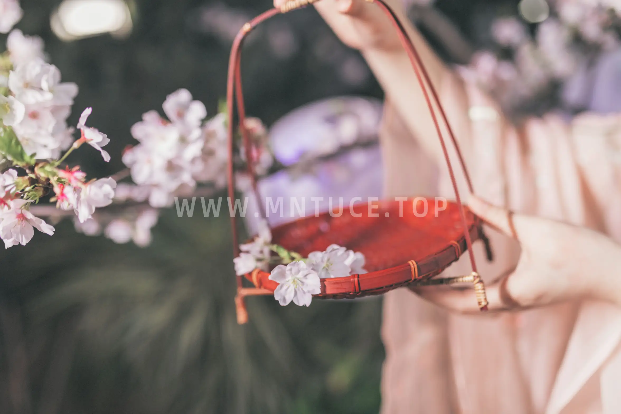 [艺图语] 2022.08.02 Vol.1607 – 夜樱 秘制大何酱#[25P]-8