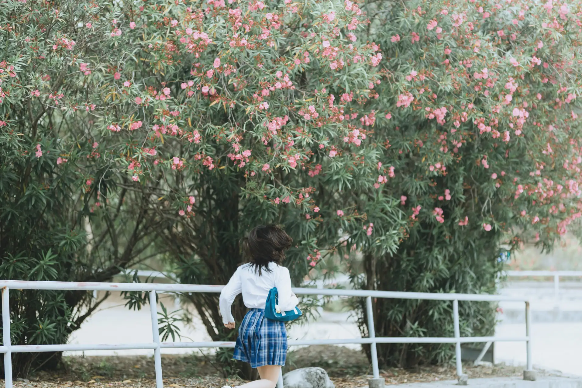 [艺图语] 2021.10.20 Vol.374 – 放课后 薄欢#[42P]-8