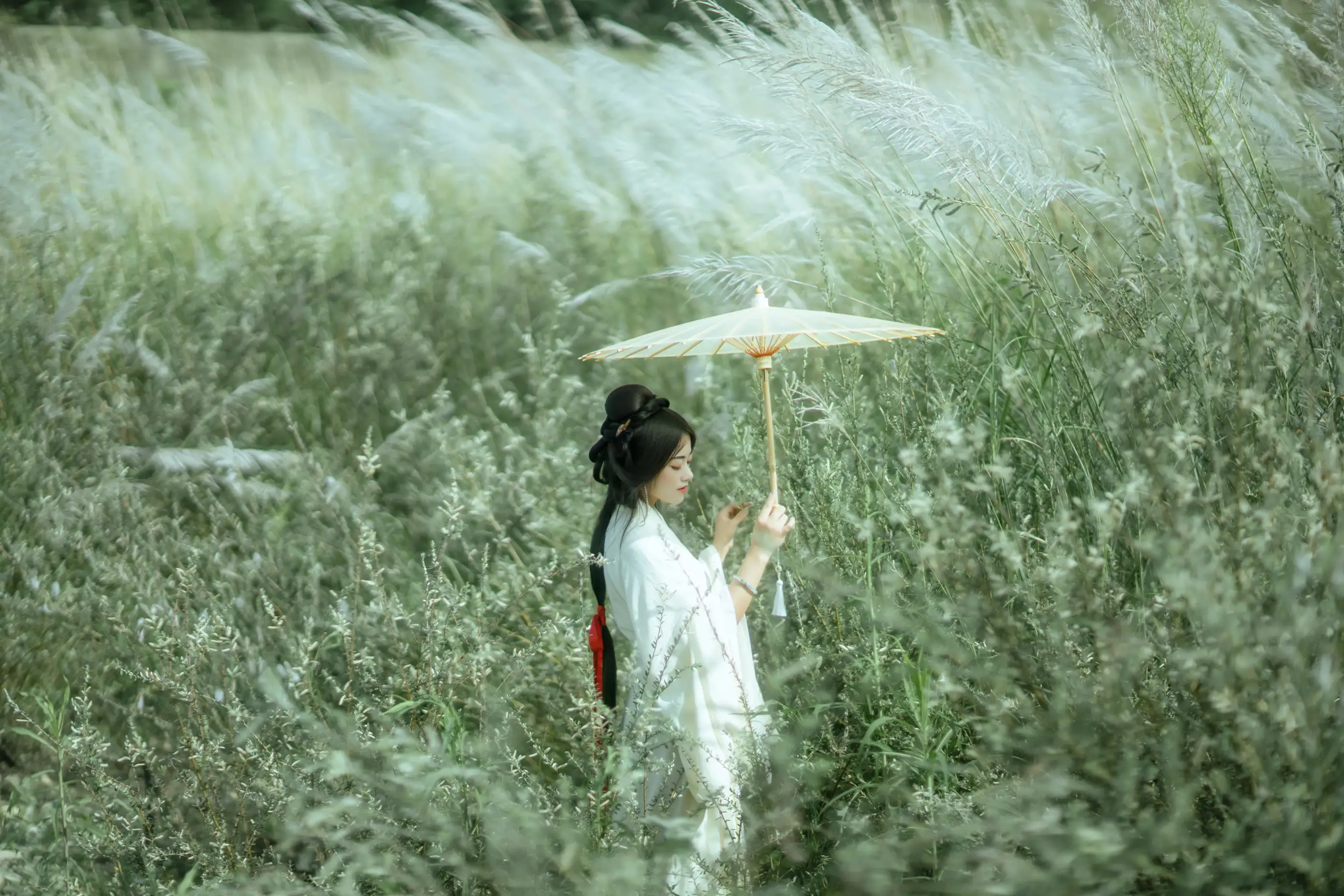 [艺图语] 2022.01.05 Vol.592 – 芦花漫 陌颜#[30P]-6