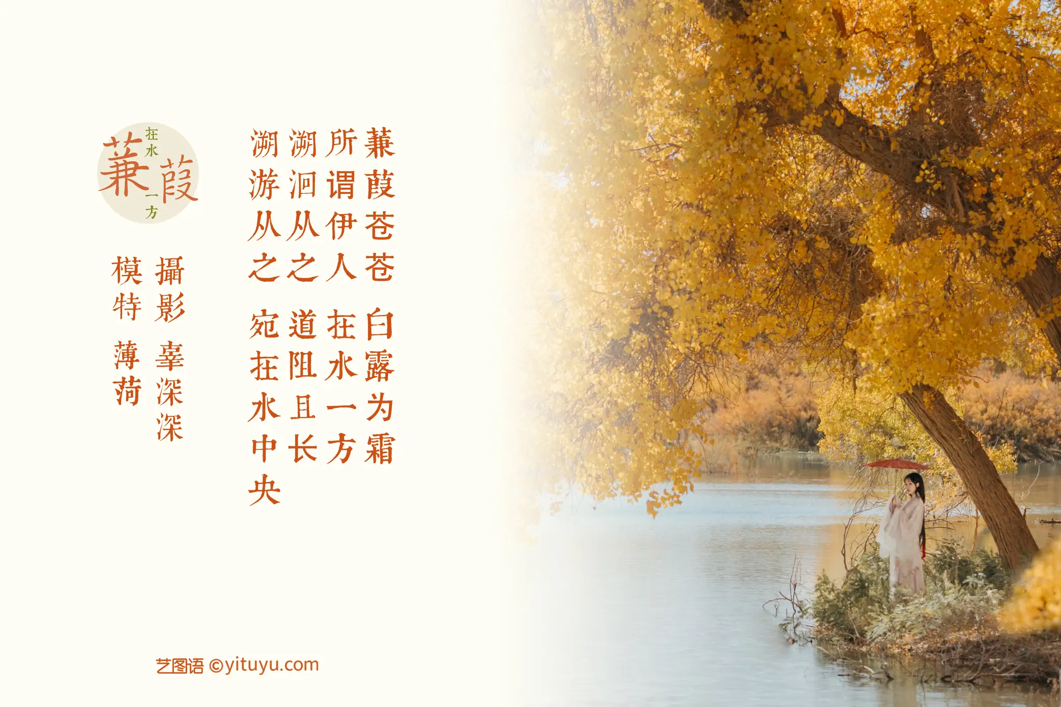 [艺图语] 2021.08.16 Vol.137 – 蒹葭 薄荷#[26P]-2