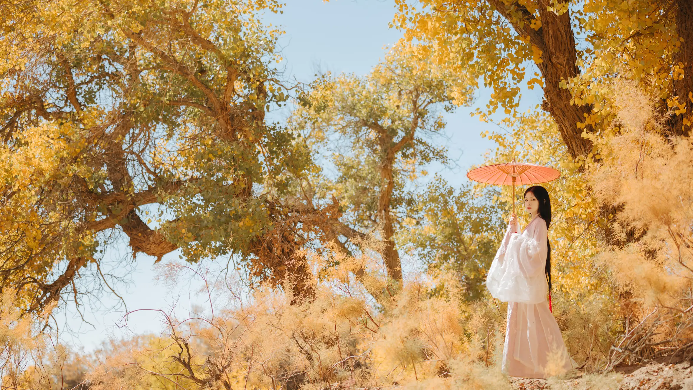 [艺图语] 2021.08.16 Vol.137 – 蒹葭 薄荷#[26P]-2