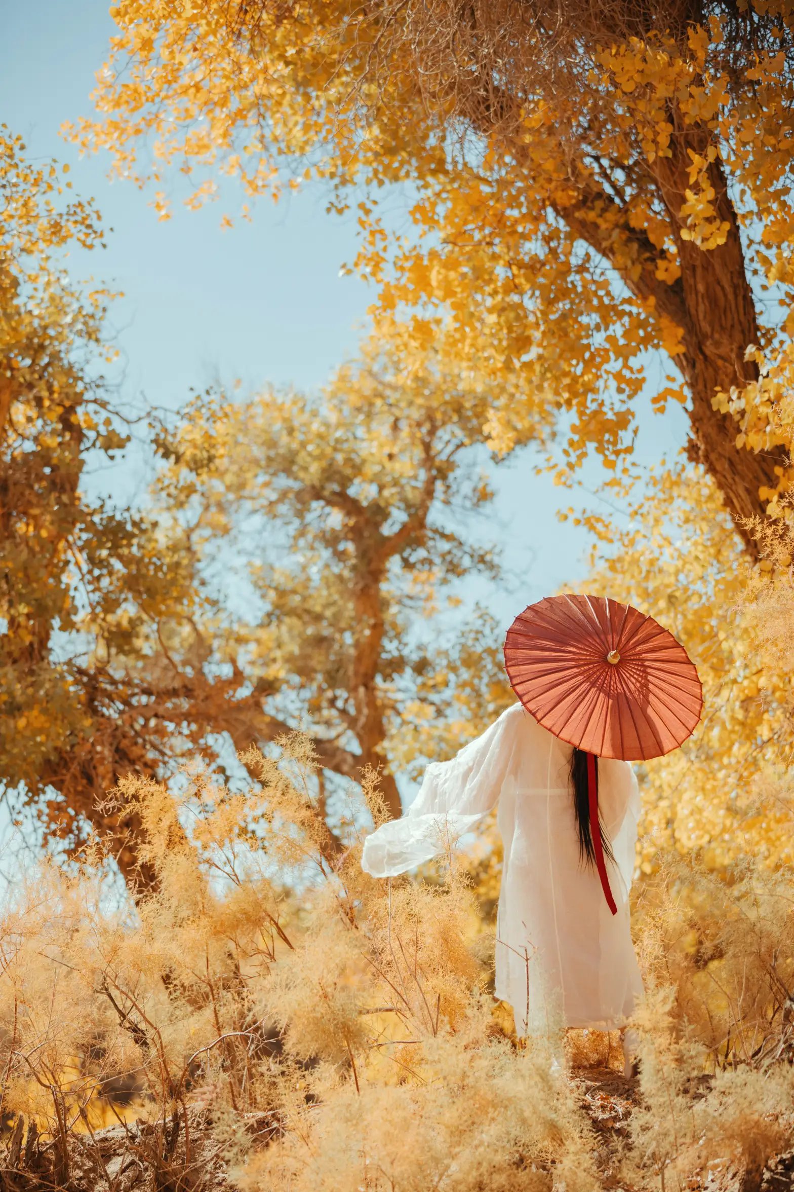 [艺图语] 2021.08.16 Vol.137 – 蒹葭 薄荷#[26P]-3