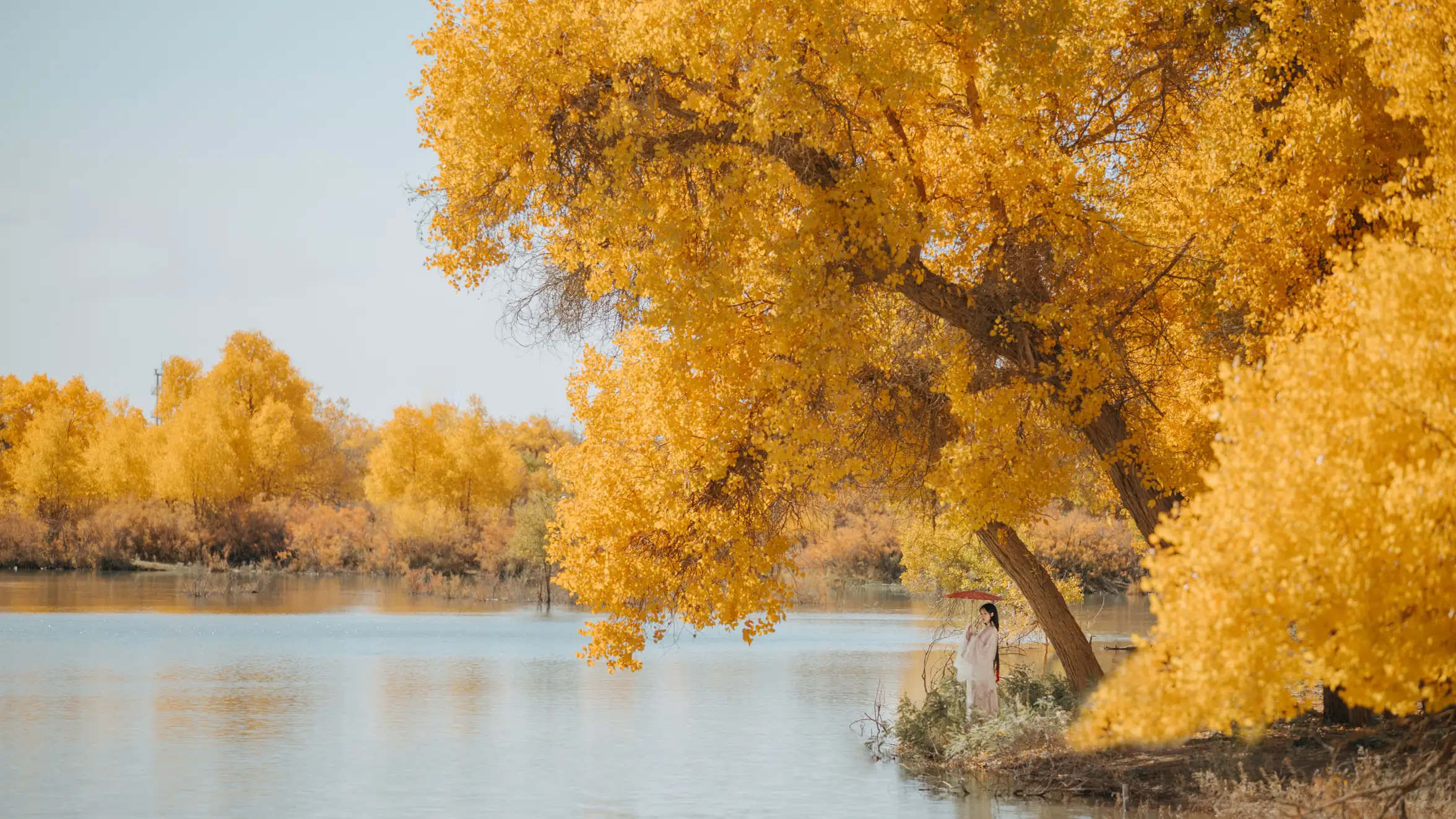 [艺图语] 2021.08.16 Vol.137 – 蒹葭 薄荷#[26P]-5