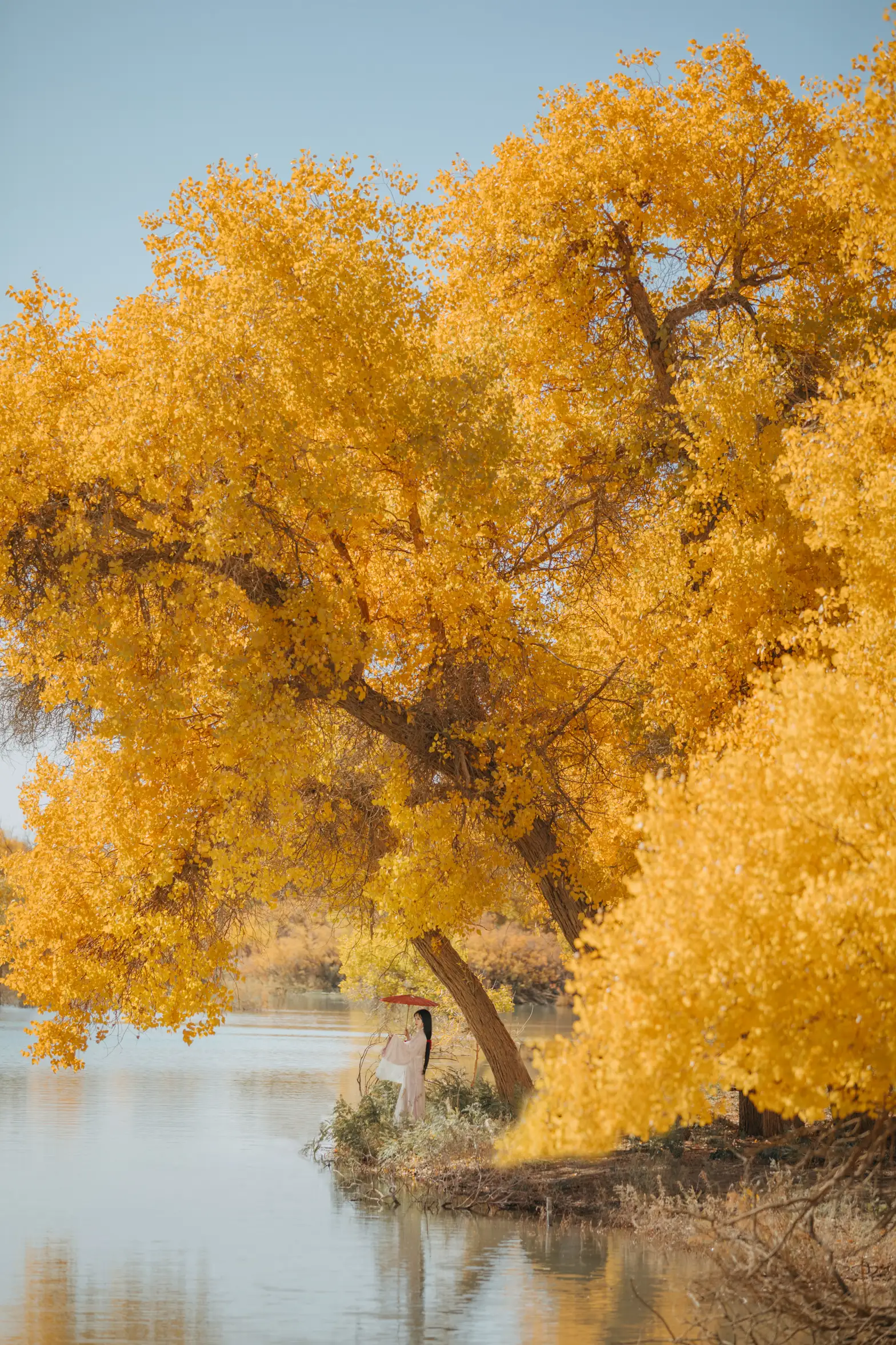 [艺图语] 2021.08.16 Vol.137 – 蒹葭 薄荷#[26P]-6