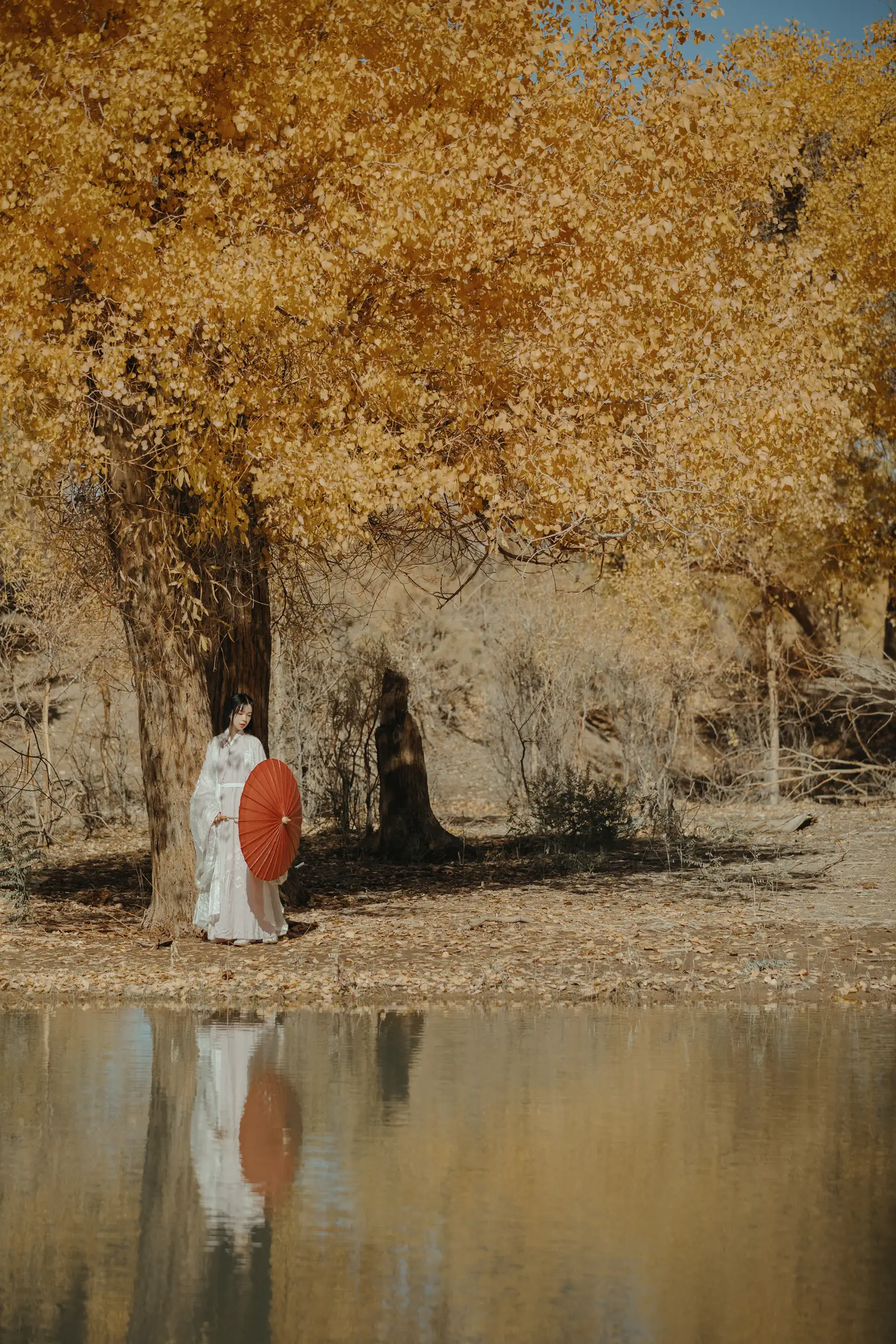 [艺图语] 2021.08.16 Vol.137 – 蒹葭 薄荷#[26P]-3