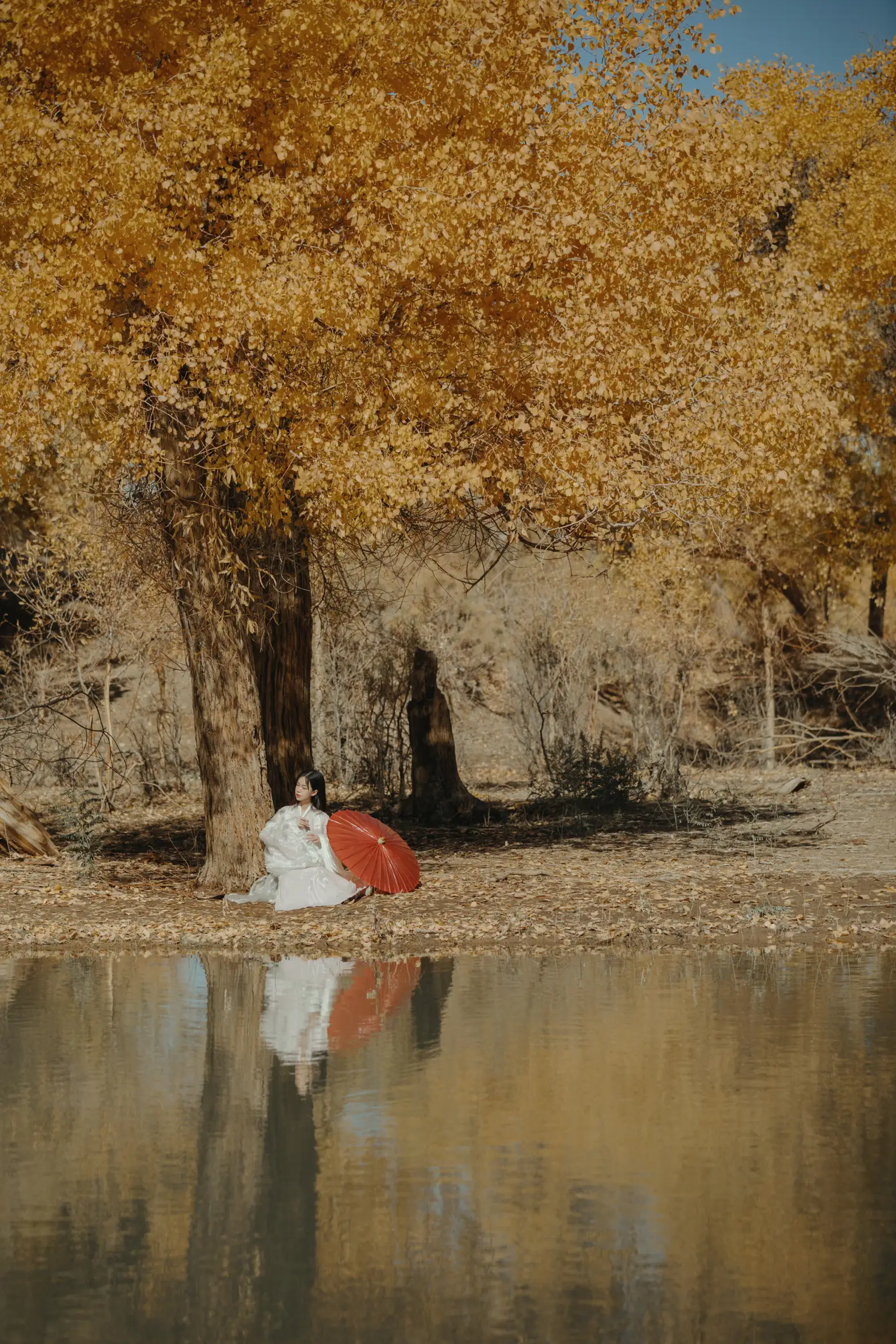 [艺图语] 2021.08.16 Vol.137 – 蒹葭 薄荷#[26P]-4