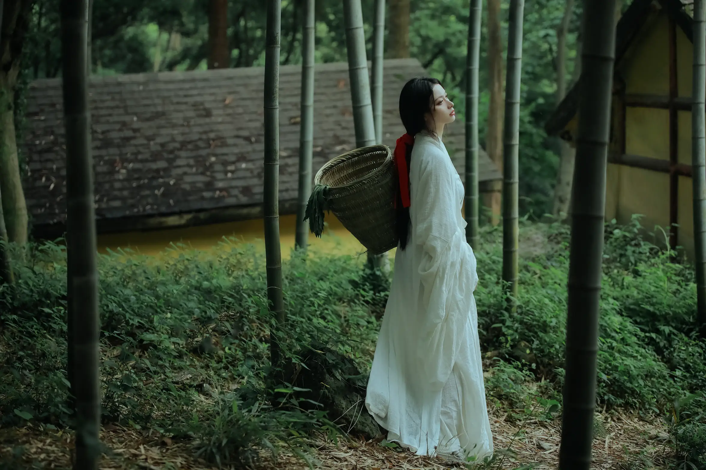 [艺图语] 2022.06.02 Vol.1064 – 神农氏 阿妍纸#[26P]-2