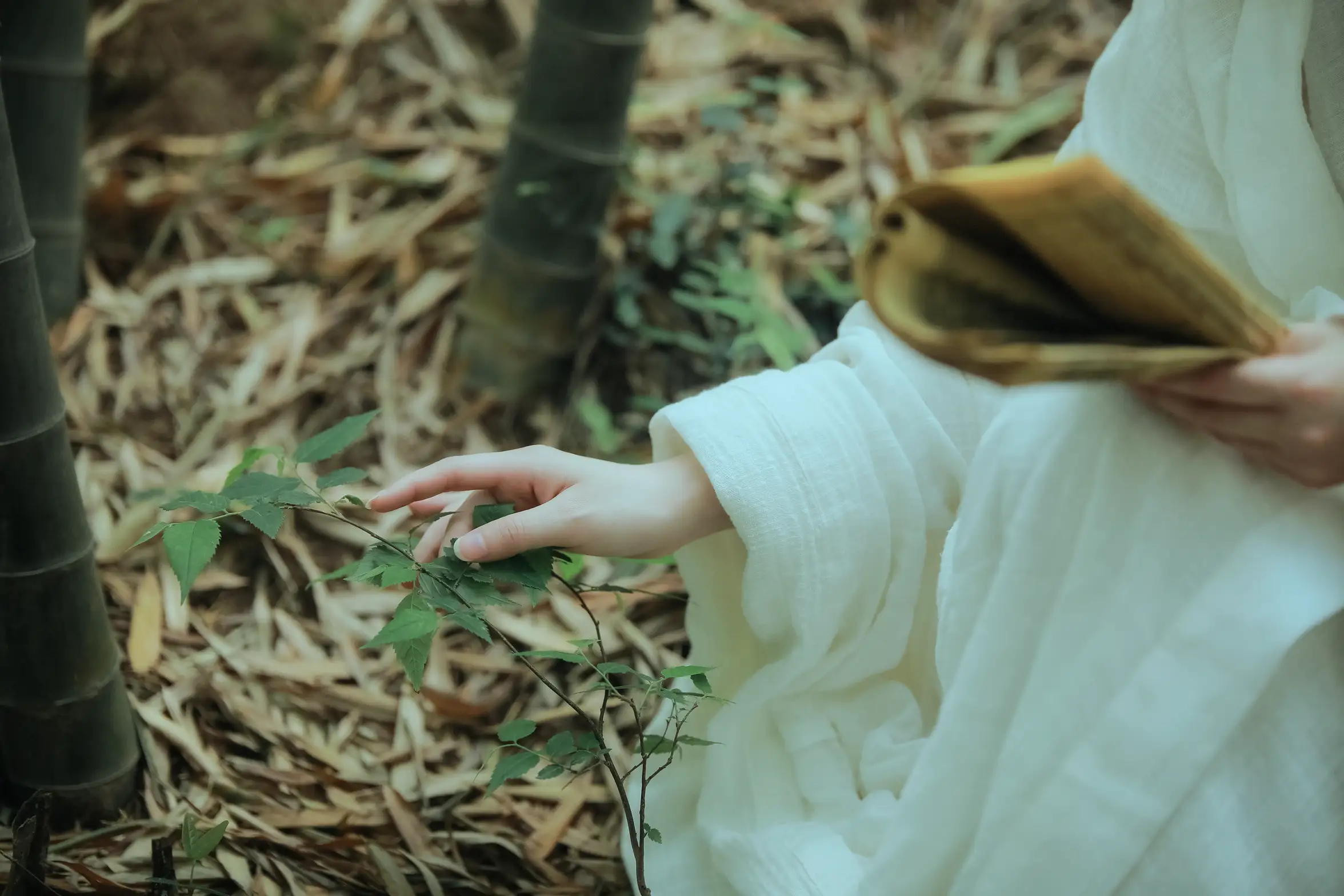 [艺图语] 2022.06.02 Vol.1064 – 神农氏 阿妍纸#[26P]-10