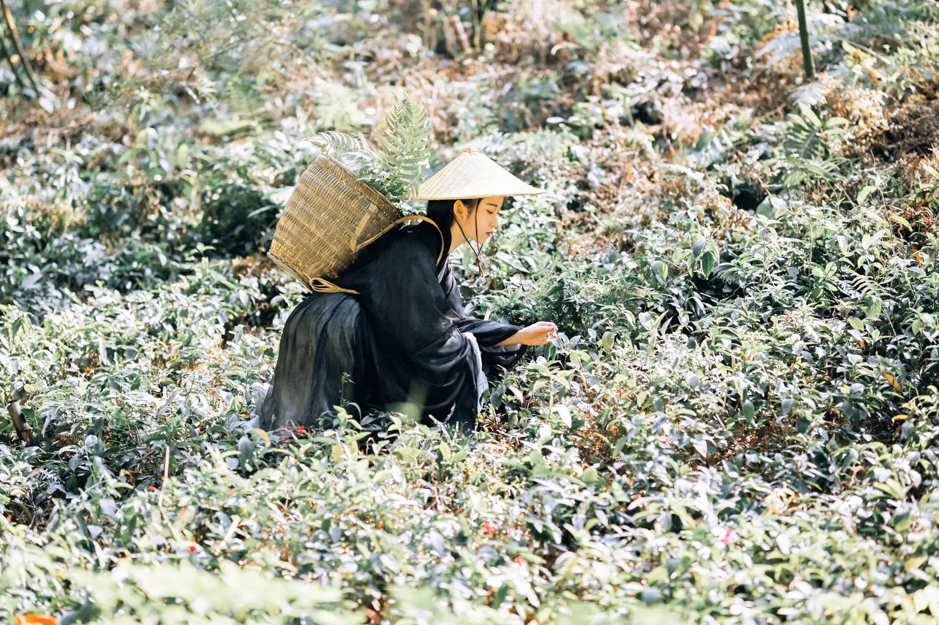 [艺图语] 2021.12.15 Vol.493 – 采药 七屿#[30P]-6