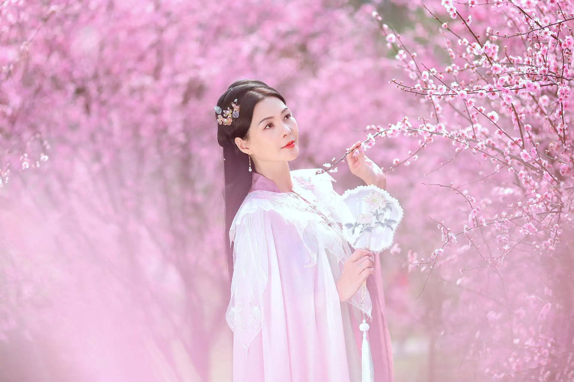 [艺图语] 2022.05.31 Vol.1043 – 暖春樱色 莲#[38P]-1