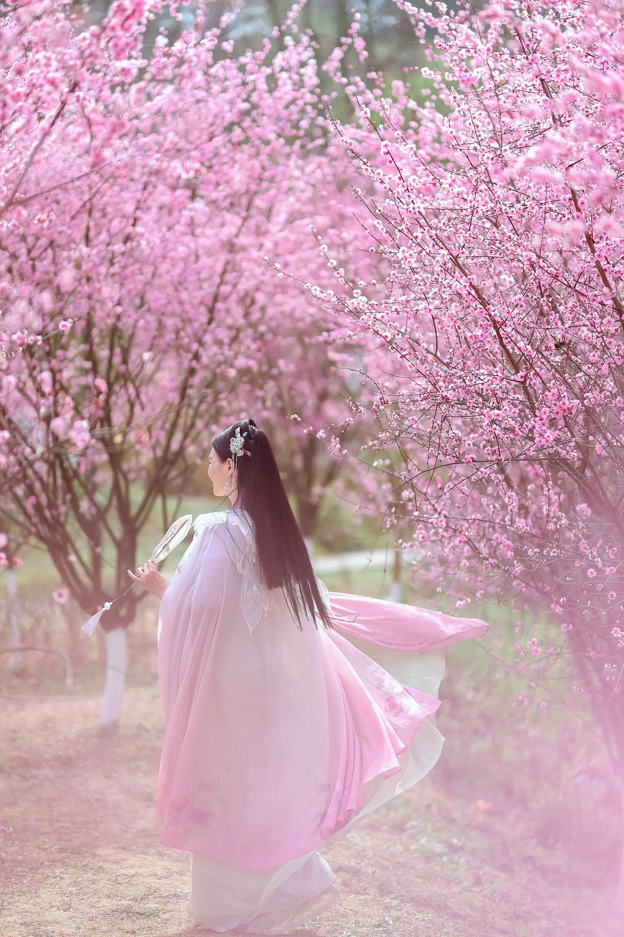 [艺图语] 2022.05.31 Vol.1043 – 暖春樱色 莲#[38P]-3