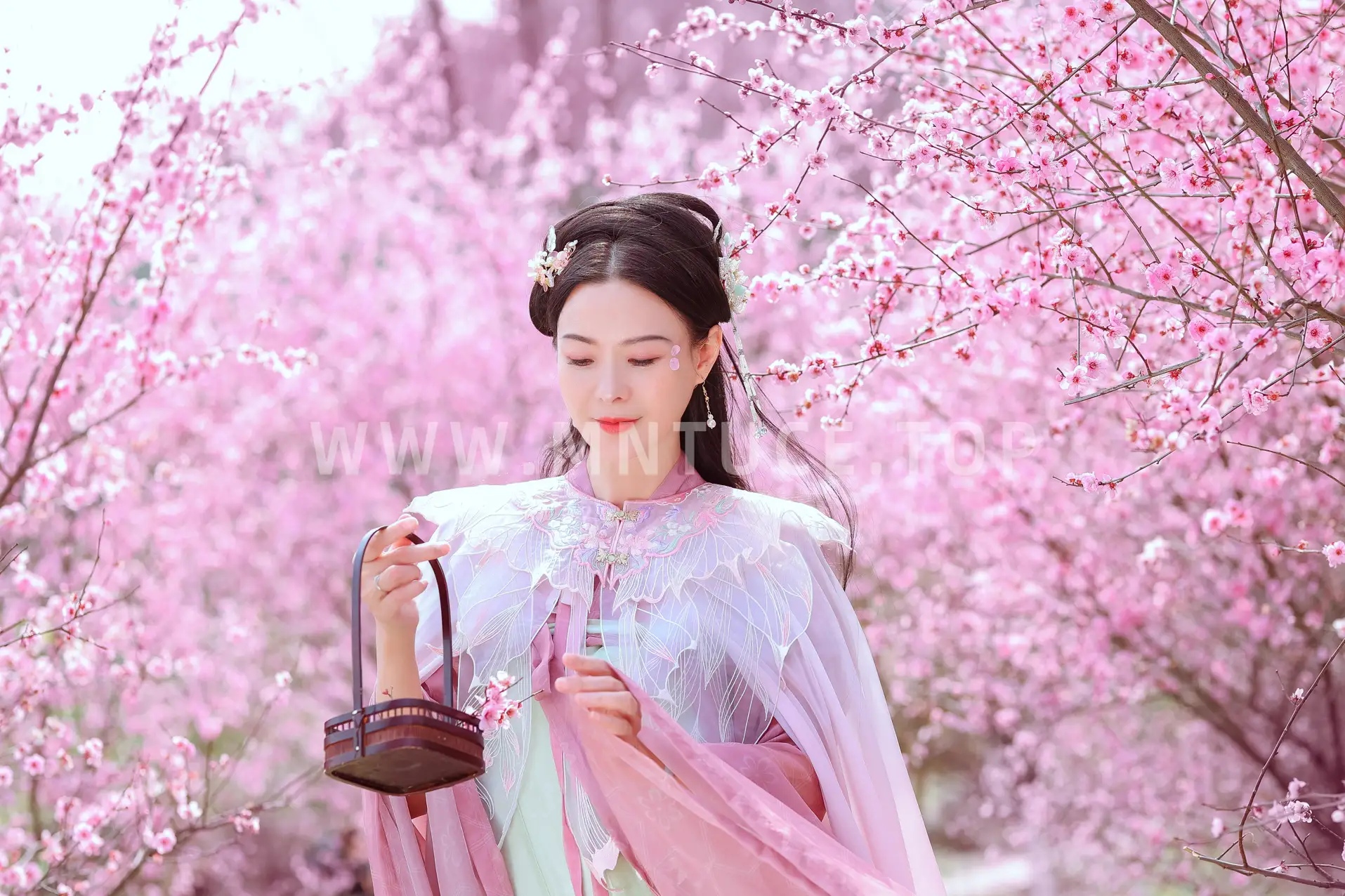 [艺图语] 2022.05.31 Vol.1043 – 暖春樱色 莲#[38P]-4