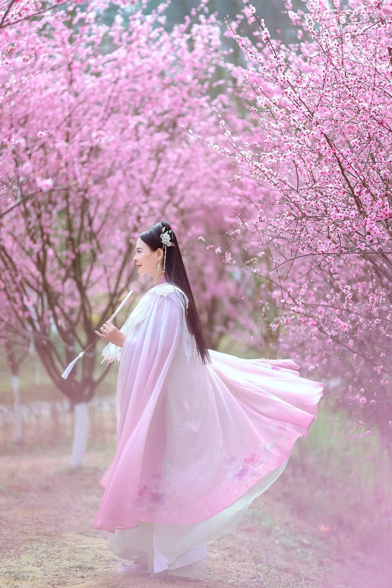 [艺图语] 2022.05.31 Vol.1043 – 暖春樱色 莲#[38P]-9