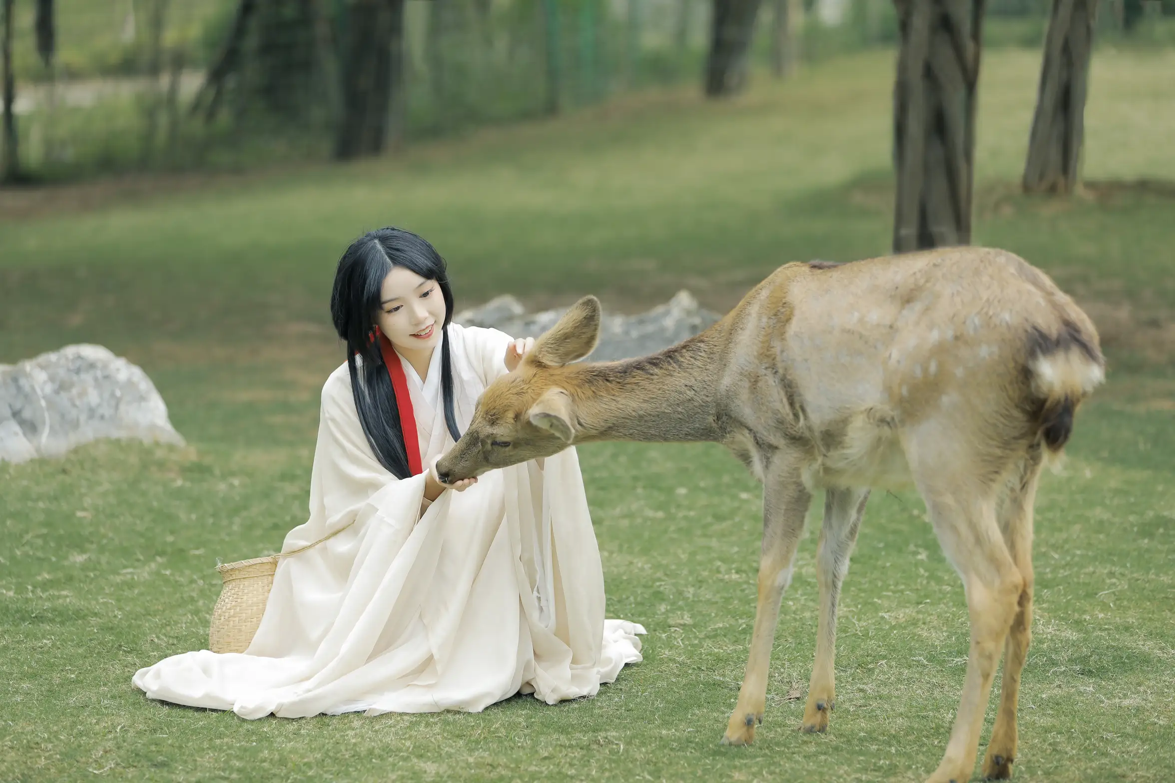 [艺图语] 2022.05.28 Vol.1013 – 鹿鸣 槐枝-#[27P]-21