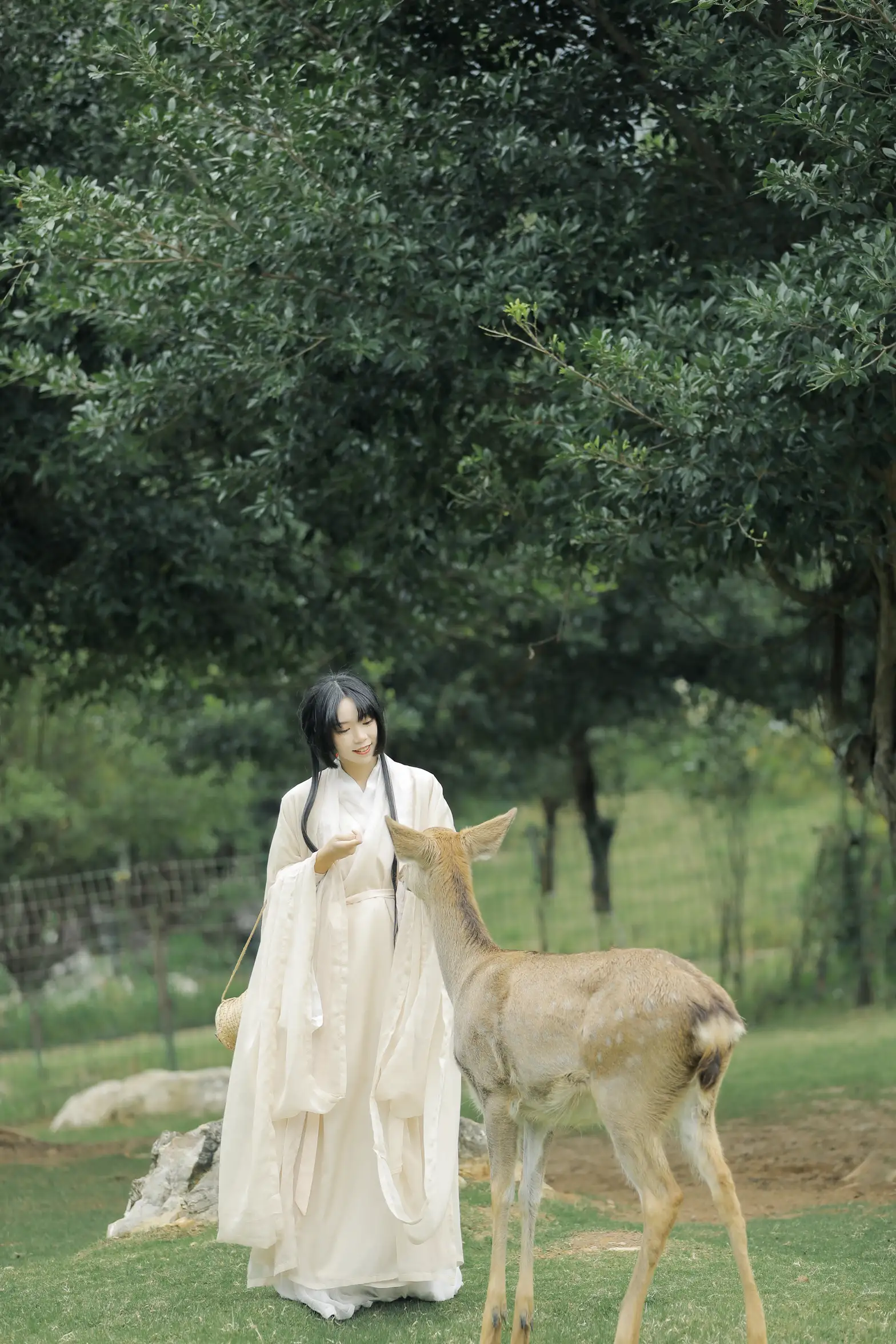 [艺图语] 2022.05.28 Vol.1013 – 鹿鸣 槐枝-#[27P]-23