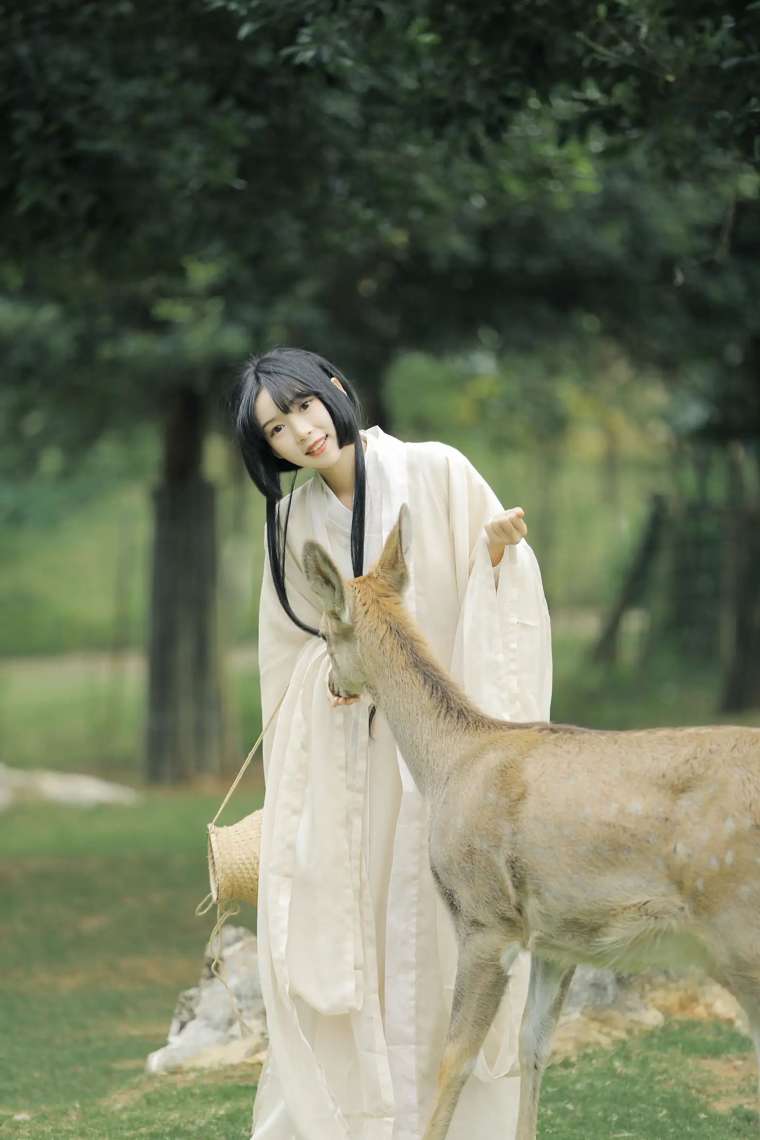 [艺图语] 2022.05.28 Vol.1013 – 鹿鸣 槐枝-#[27P]-24