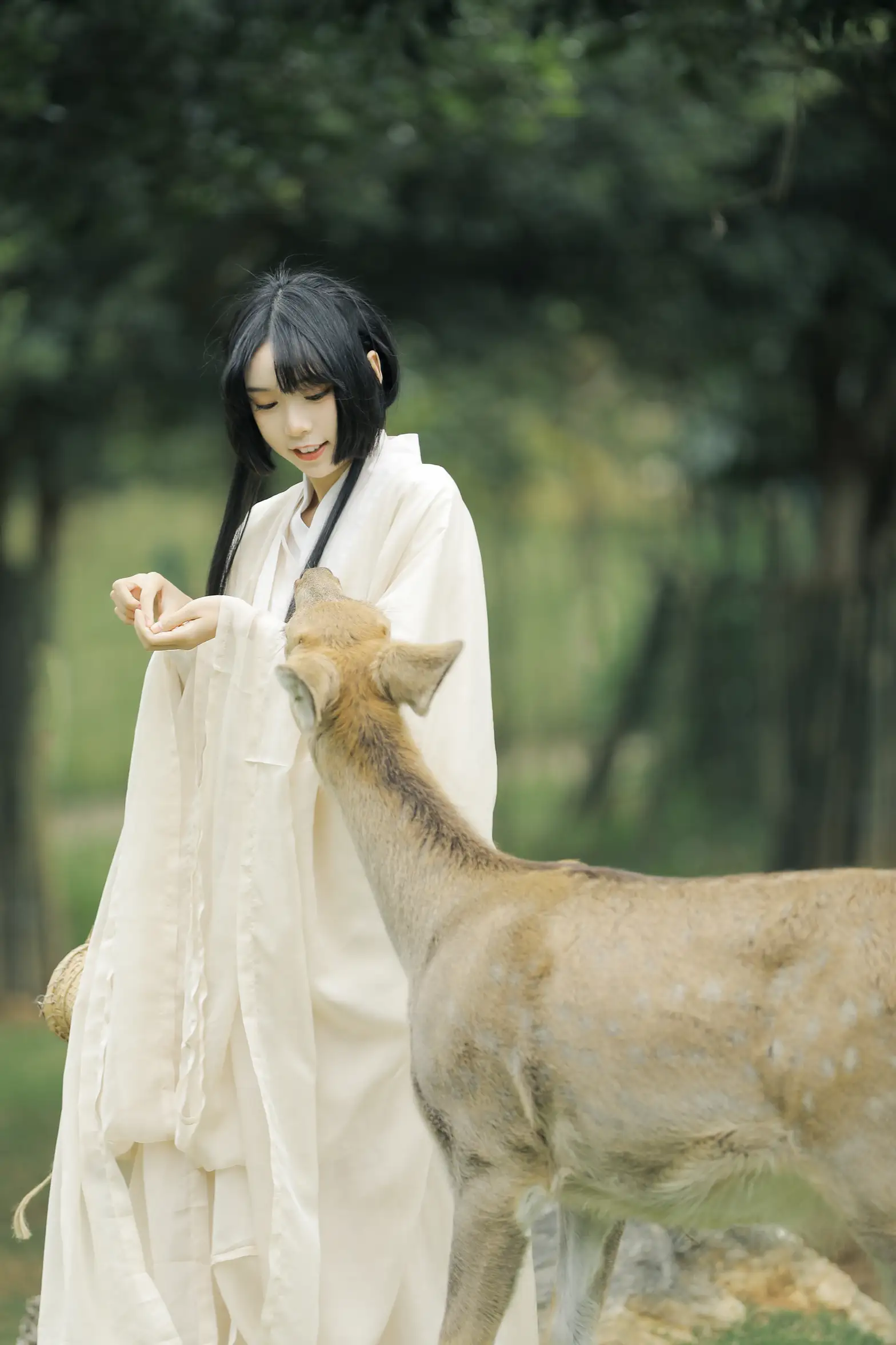 [艺图语] 2022.05.28 Vol.1013 – 鹿鸣 槐枝-#[27P]-1