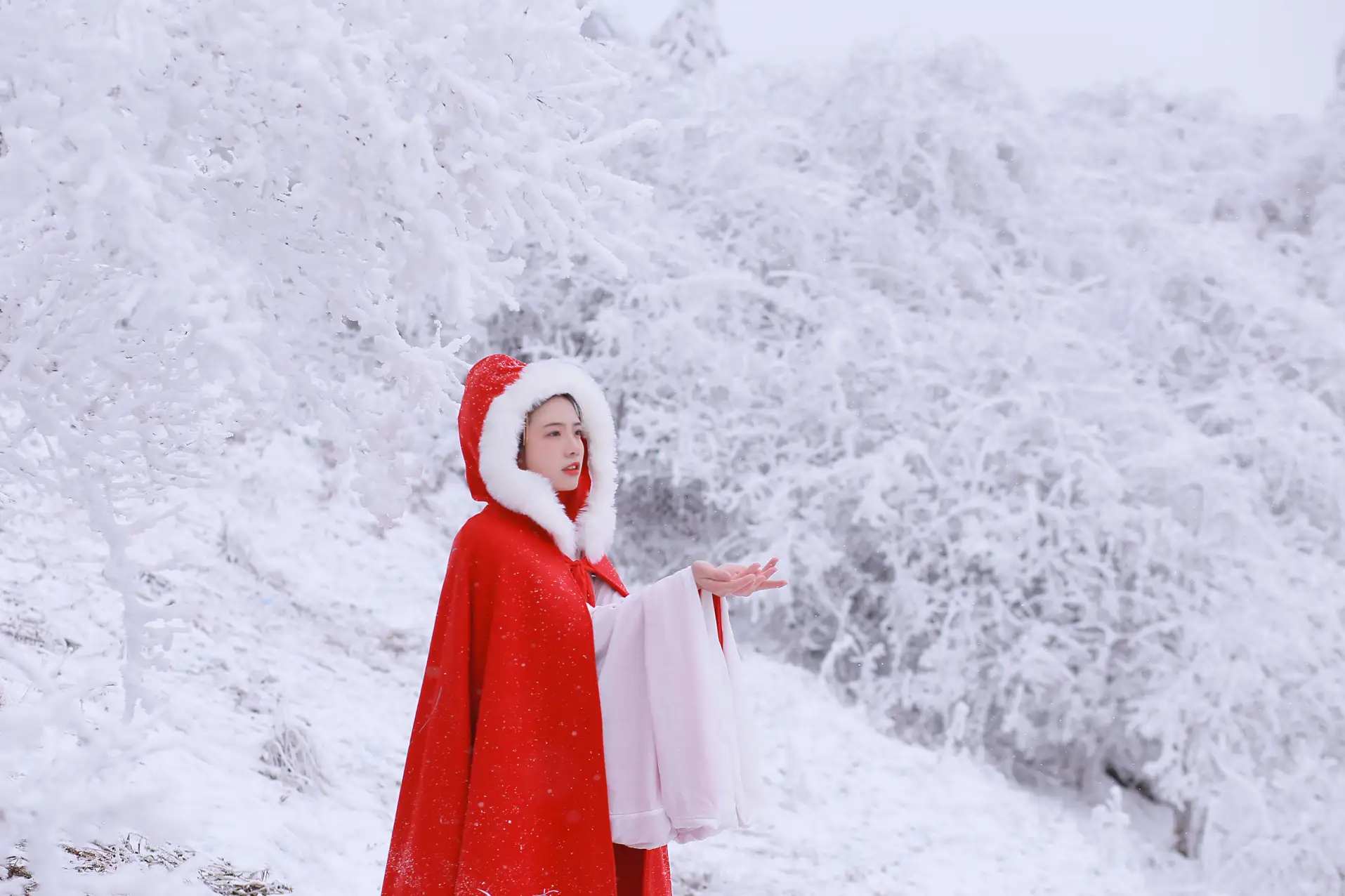 [艺图语] 2021.12.25 Vol.531 – 大雪 沂越#[35P]-1