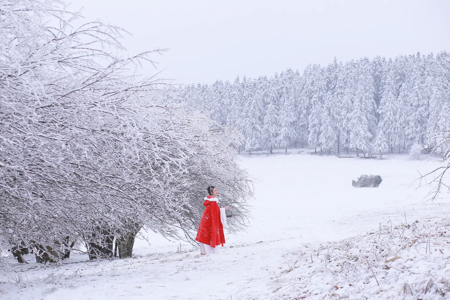 [艺图语] 2021.12.25 Vol.531 – 大雪 沂越#[35P]-3