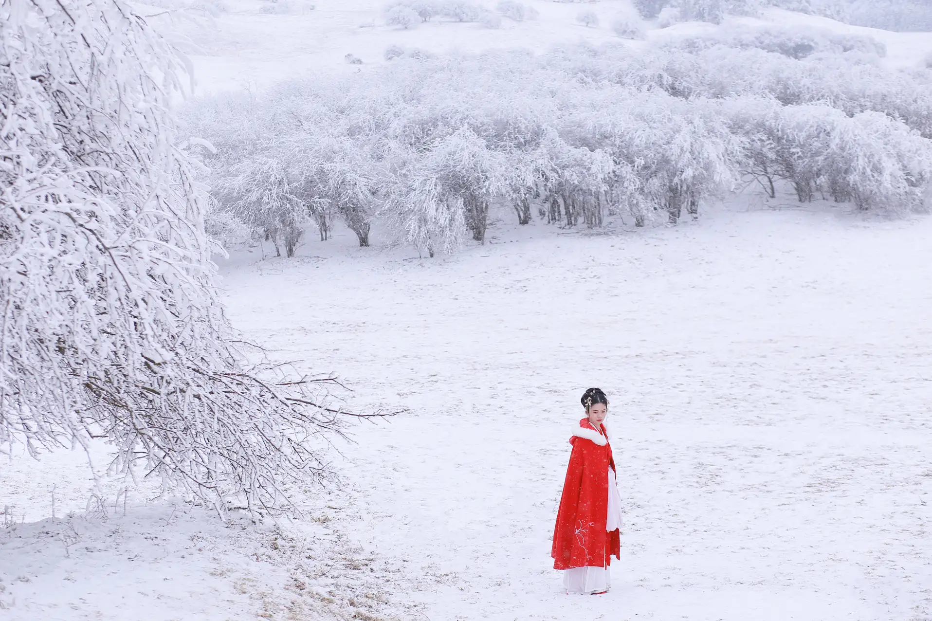 [艺图语] 2021.12.25 Vol.531 – 大雪 沂越#[35P]-4