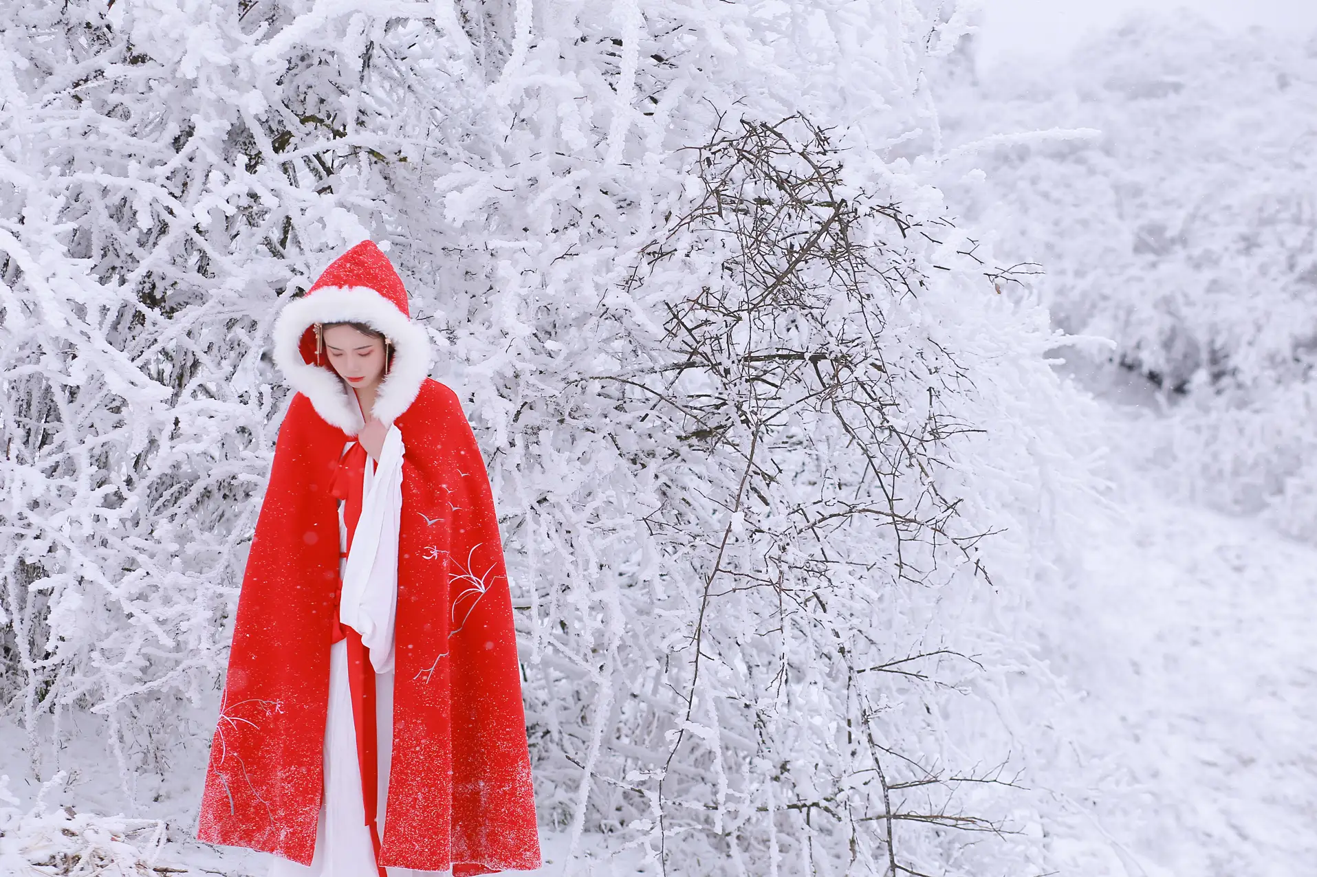 [艺图语] 2021.12.25 Vol.531 – 大雪 沂越#[35P]-5