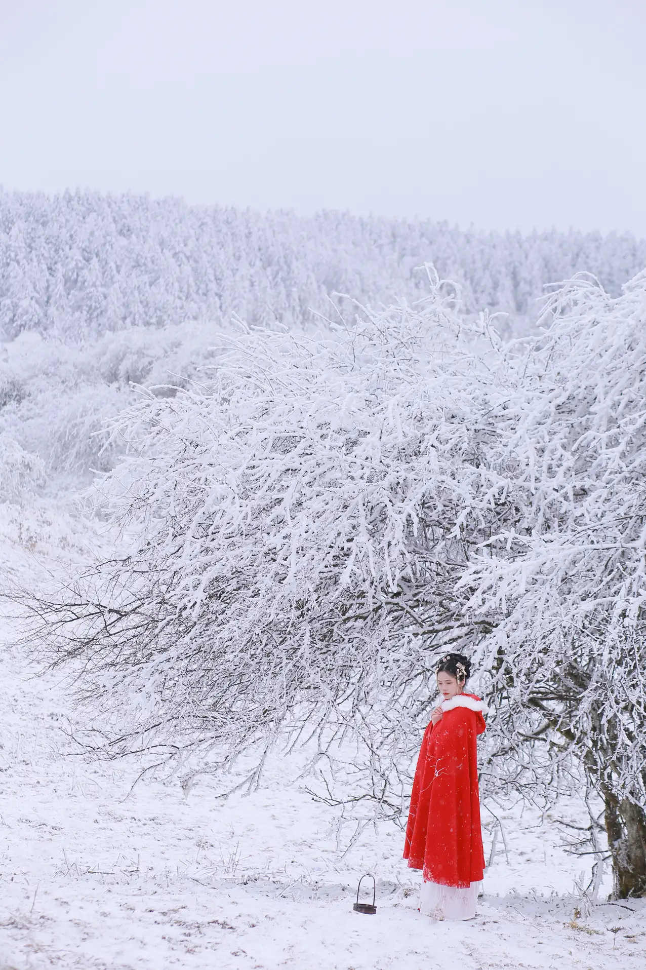 [艺图语] 2021.12.25 Vol.531 – 大雪 沂越#[35P]-8