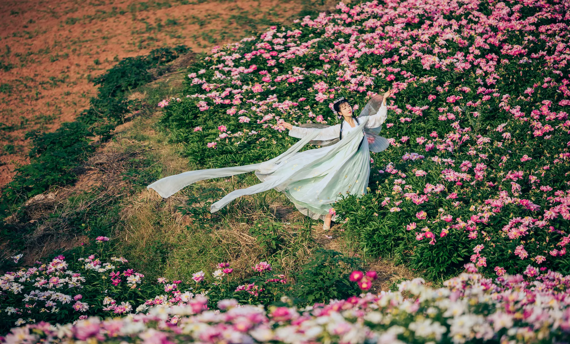 [艺图语] 2022.06.02 Vol.1063 – 芍药仙 木景抒#[27P]-1