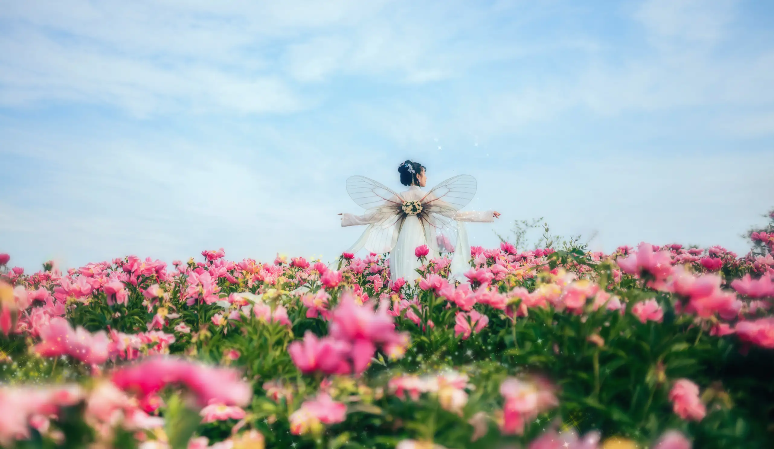 [艺图语] 2022.06.02 Vol.1063 – 芍药仙 木景抒#[27P]-6