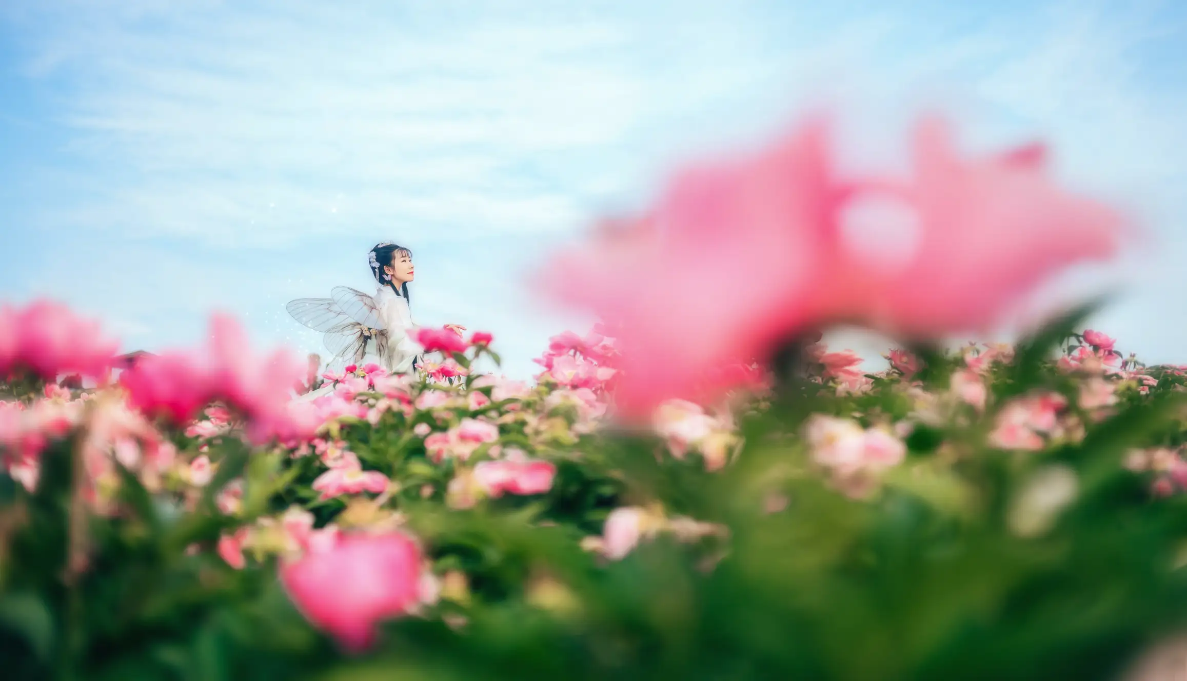 [艺图语] 2022.06.02 Vol.1063 – 芍药仙 木景抒#[27P]-7