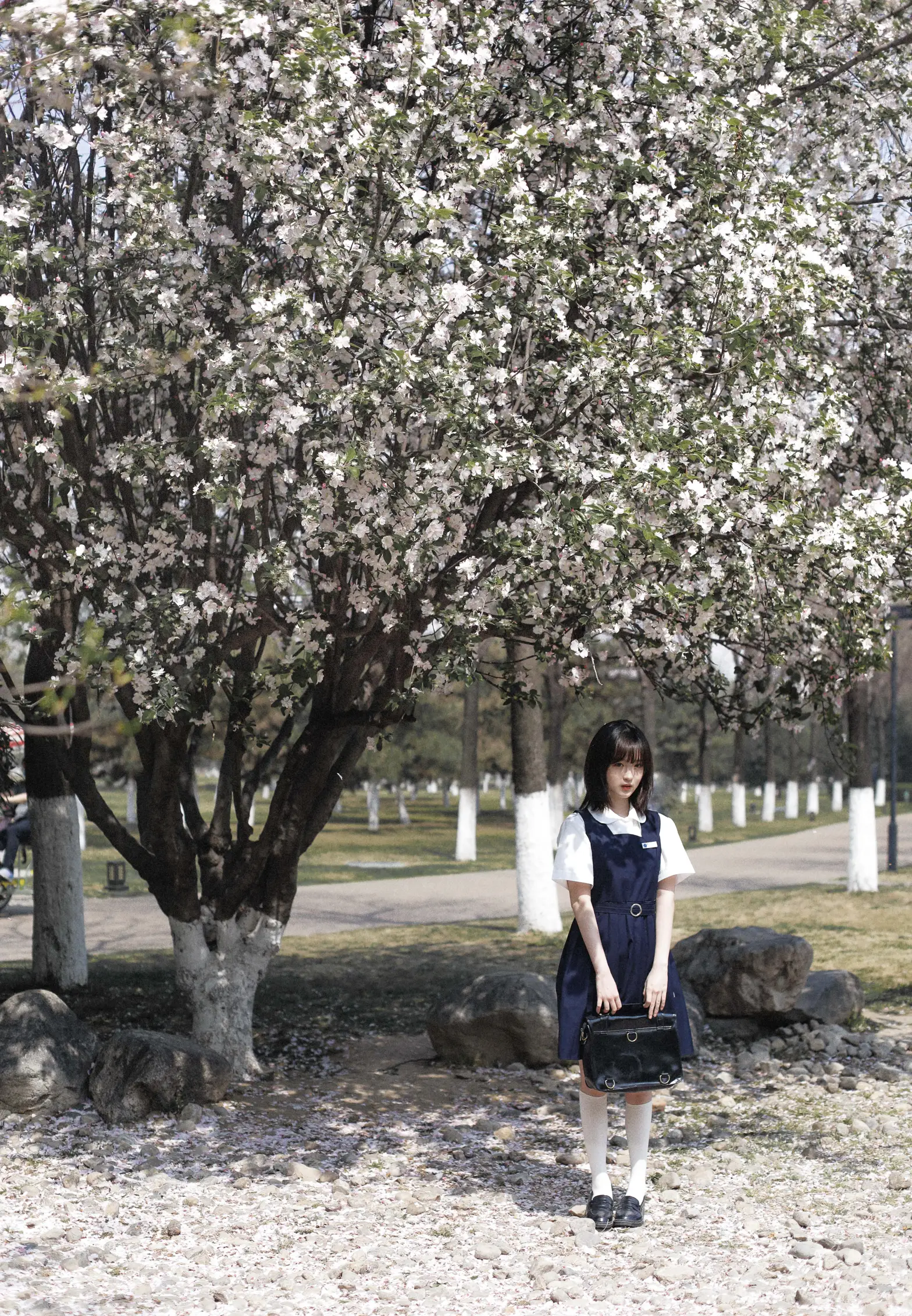 [艺图语] 2022.07.16 Vol.1490 – 白樱 – 一起去赏花吧 泽钰#[20P]-4