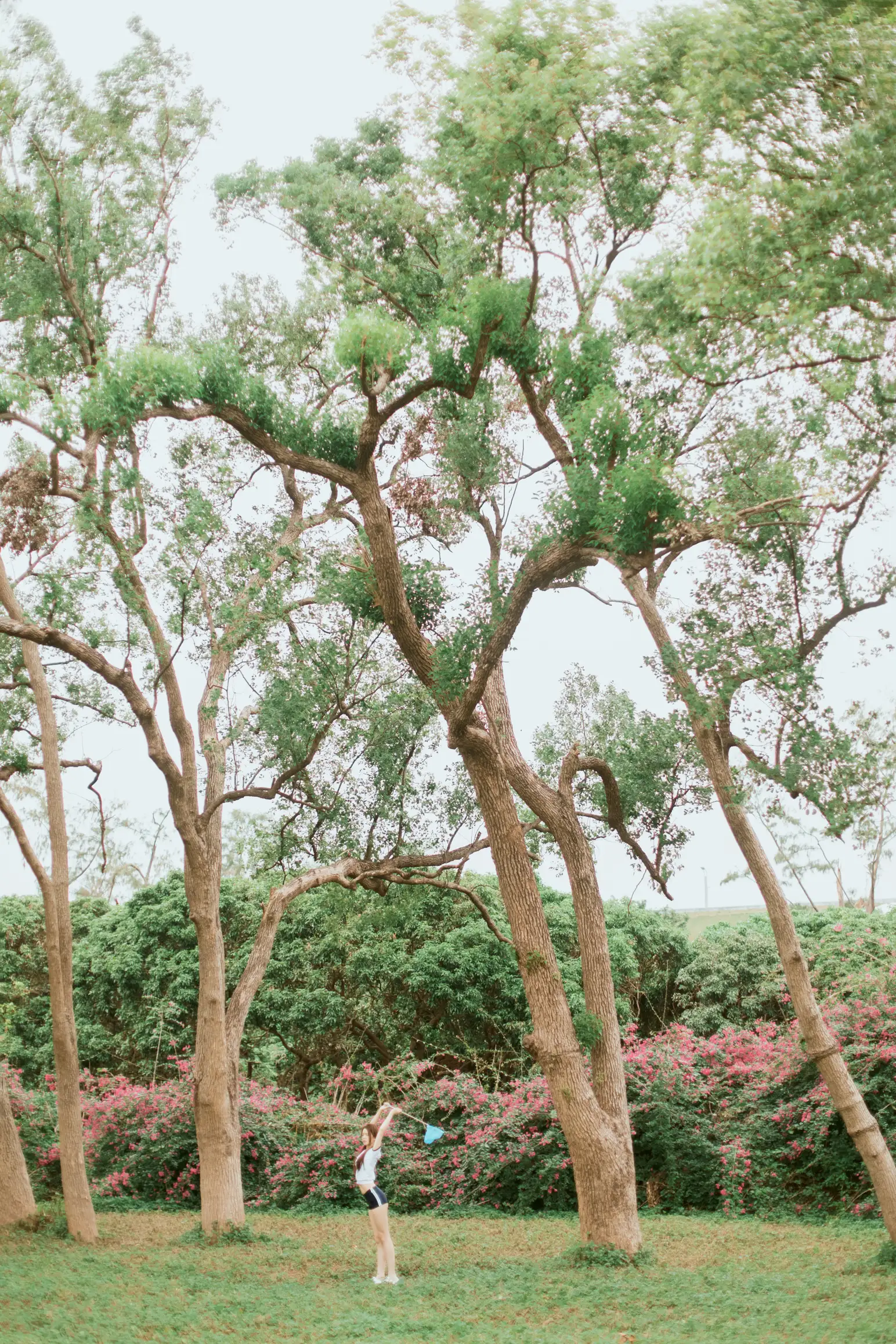 [艺图语] 2021.09.29 Vol.326 – 花开的季节 航子#[40P]-6