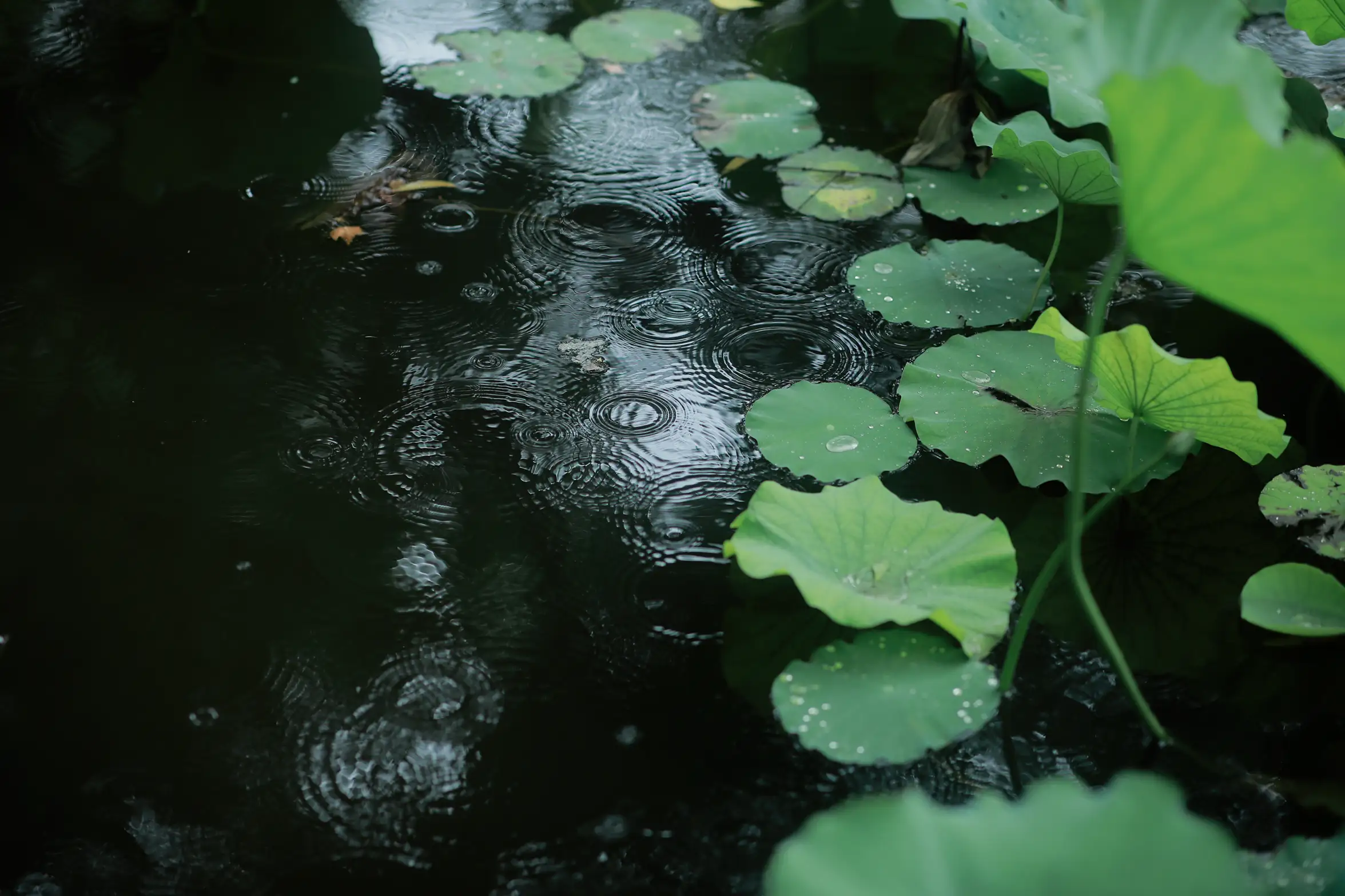 [艺图语] 2022.08.31 Vol.1838 – 天青色等烟雨 AChE#[23P]-3